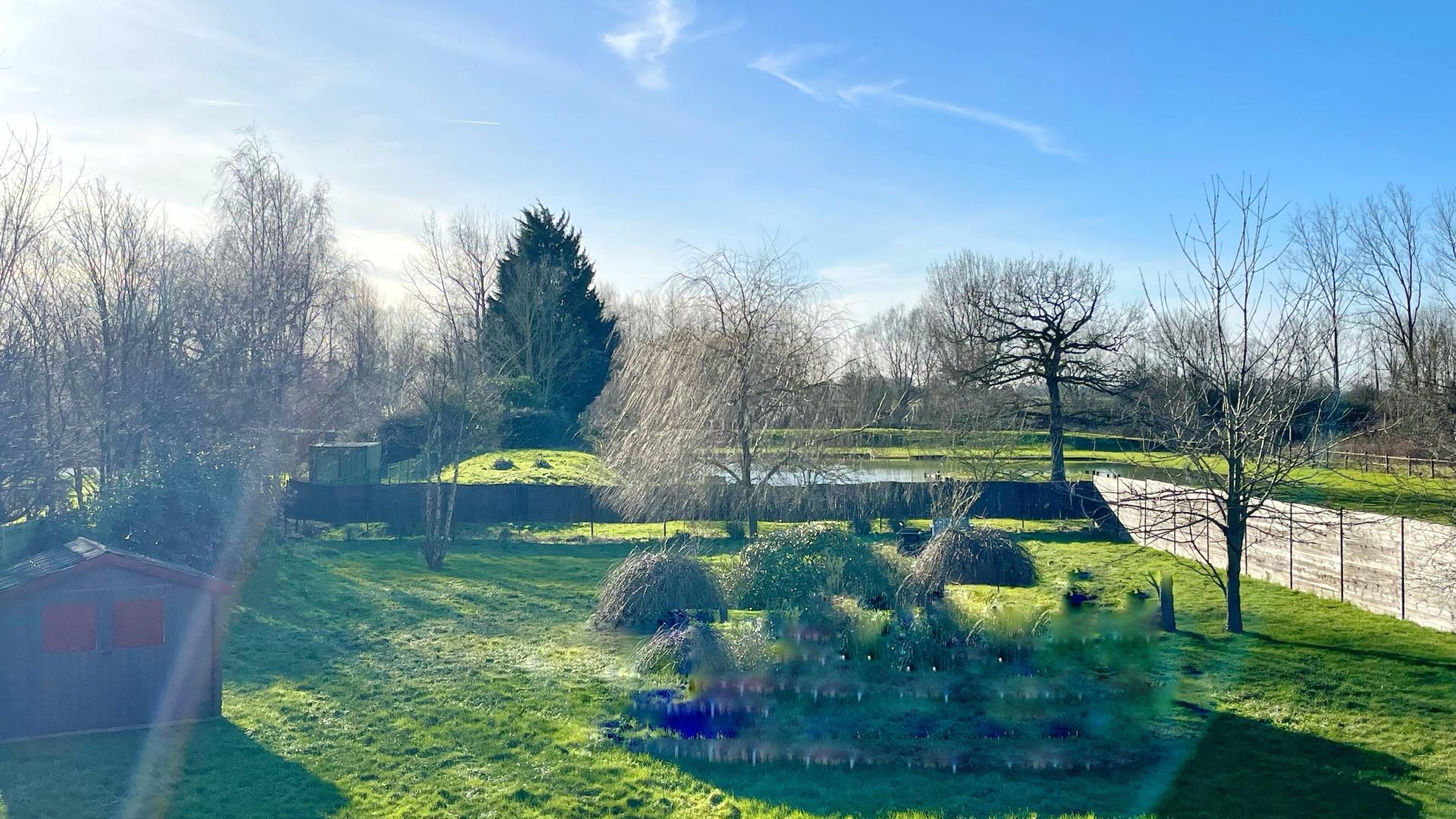 Photo 4 de l'annonce.