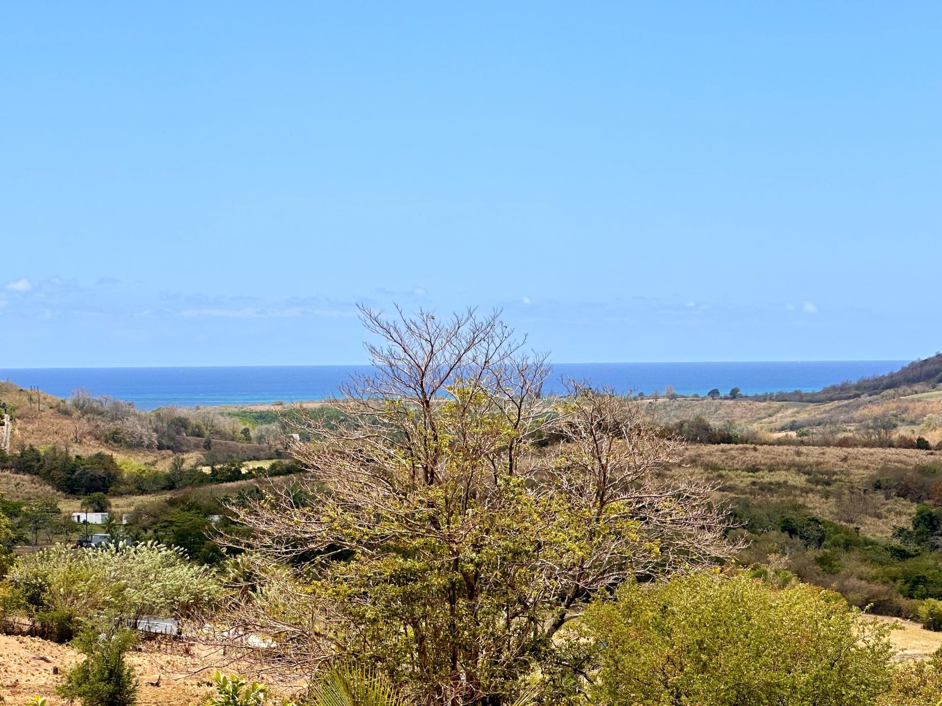 Photo 2 de l'annonce.