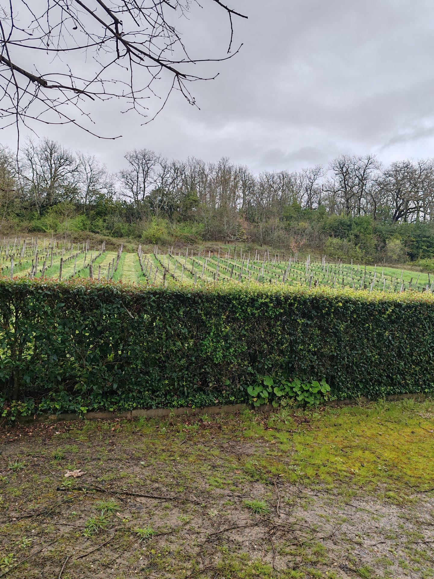 Photo 4 de l'annonce.