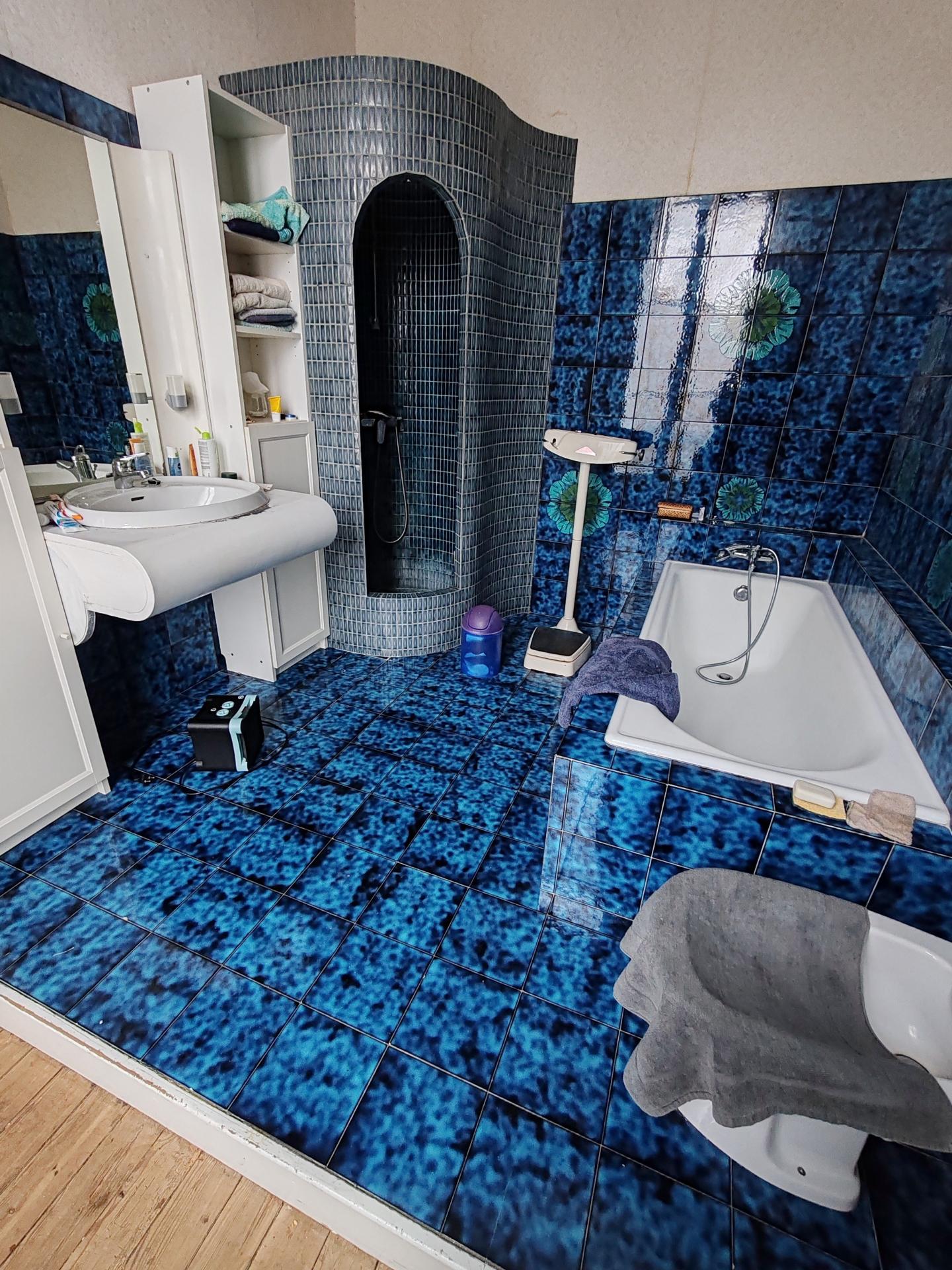 Photo 9 de l'annonce.