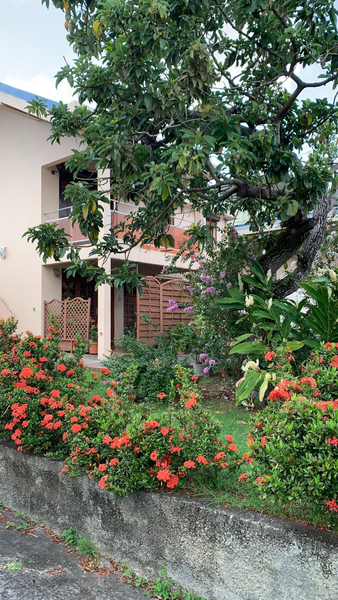 Photo 8 de l'annonce.