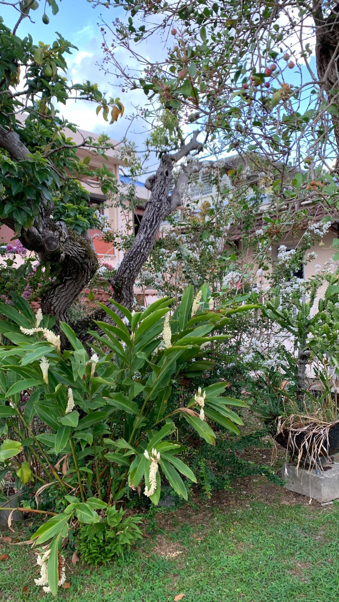 Photo 9 de l'annonce.