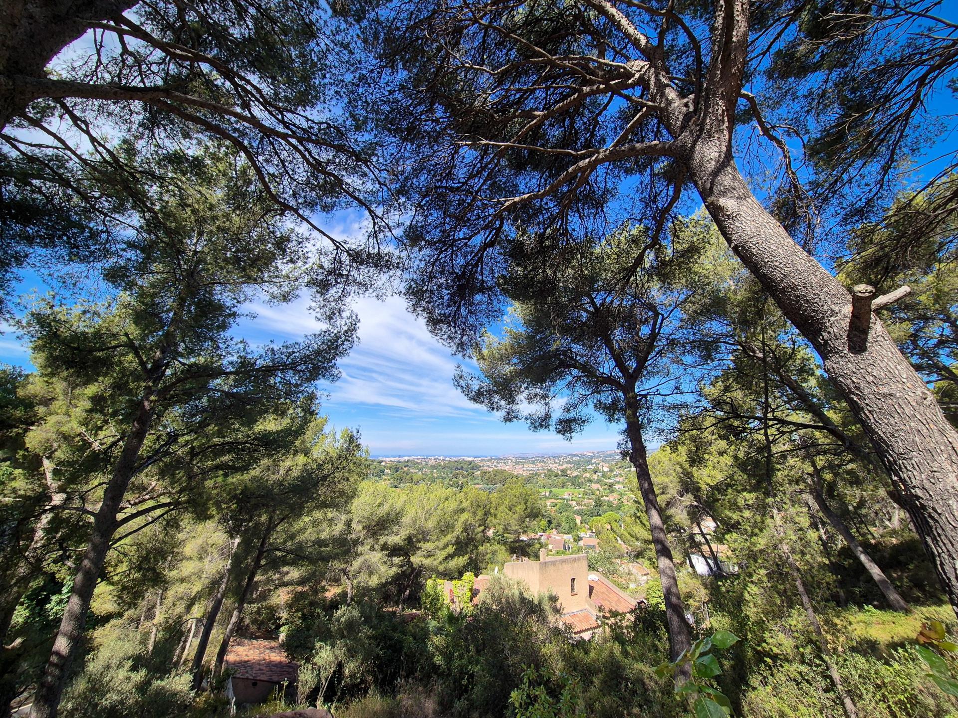 Photo 13 de l'annonce.