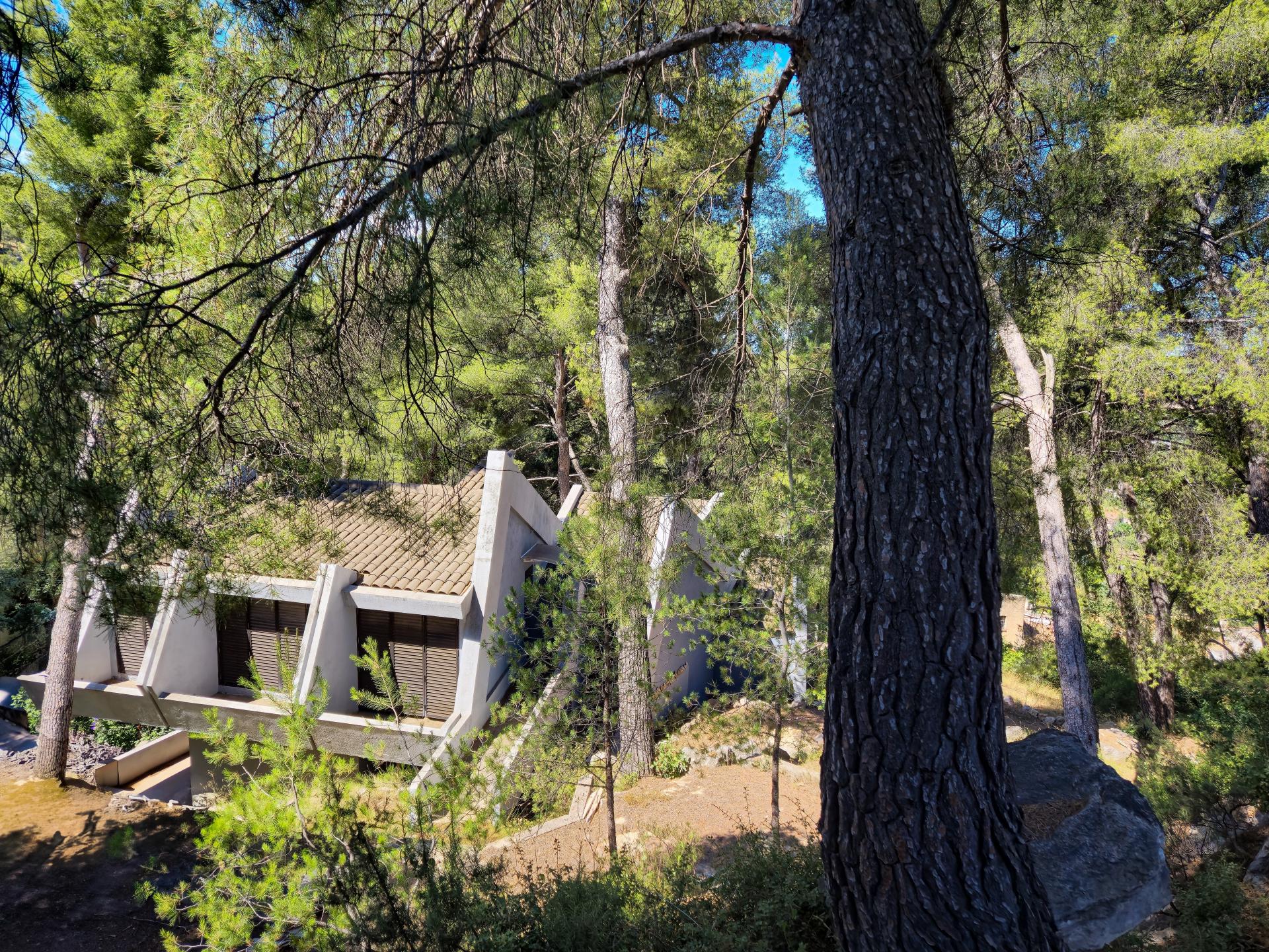 Photo 5 de l'annonce.