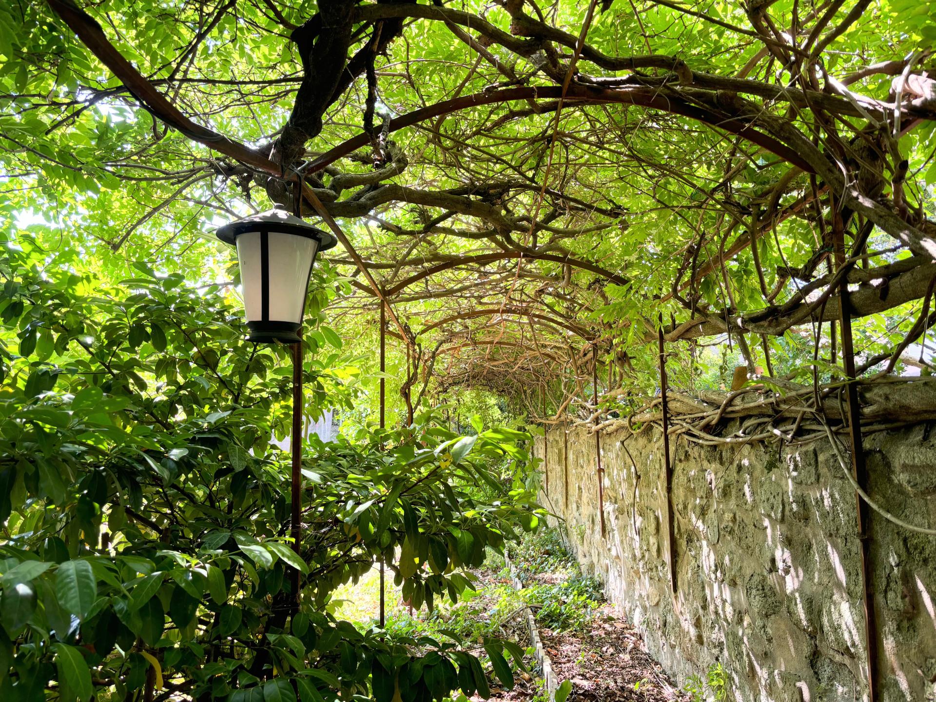 Photo 2 de l'annonce.