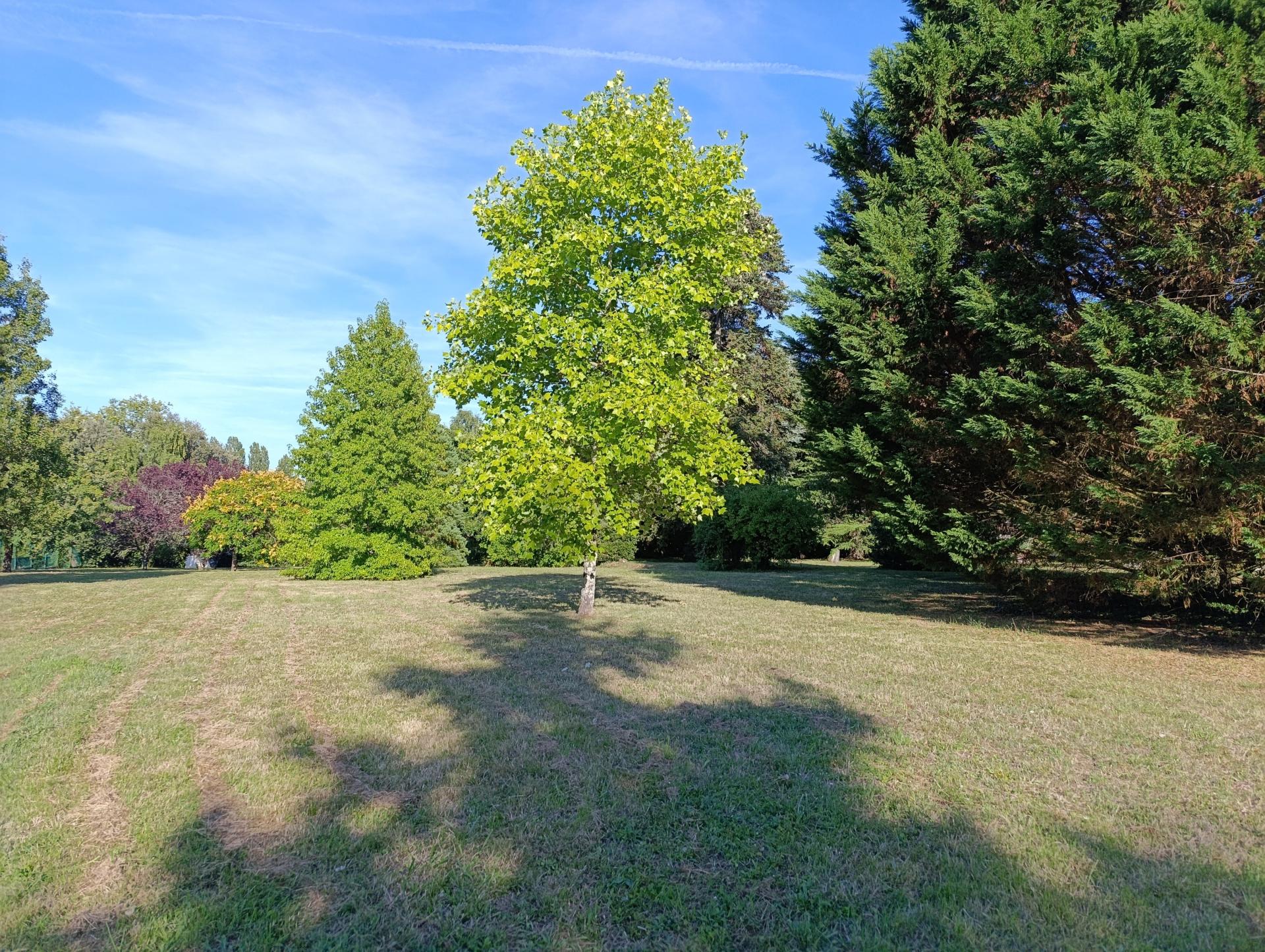 Photo 15 de l'annonce.