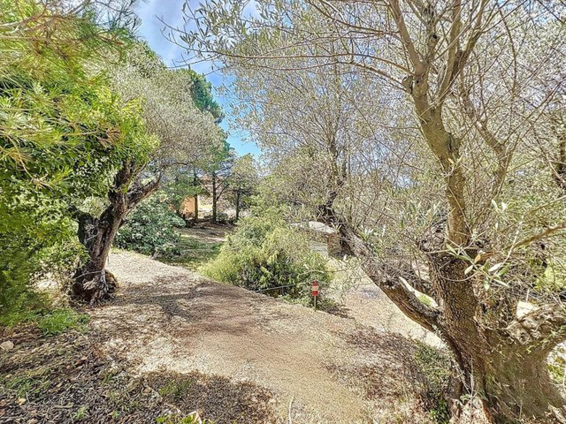 Photo 6 de l'annonce.