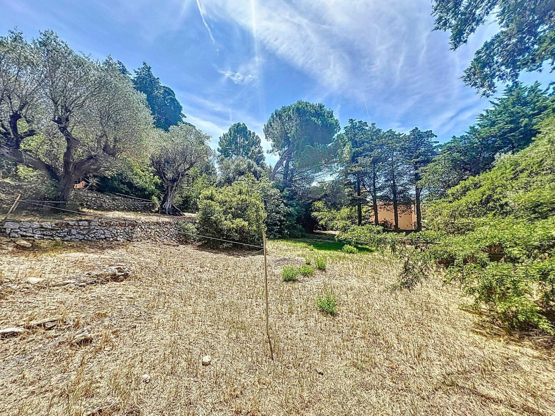 Photo 5 de l'annonce.