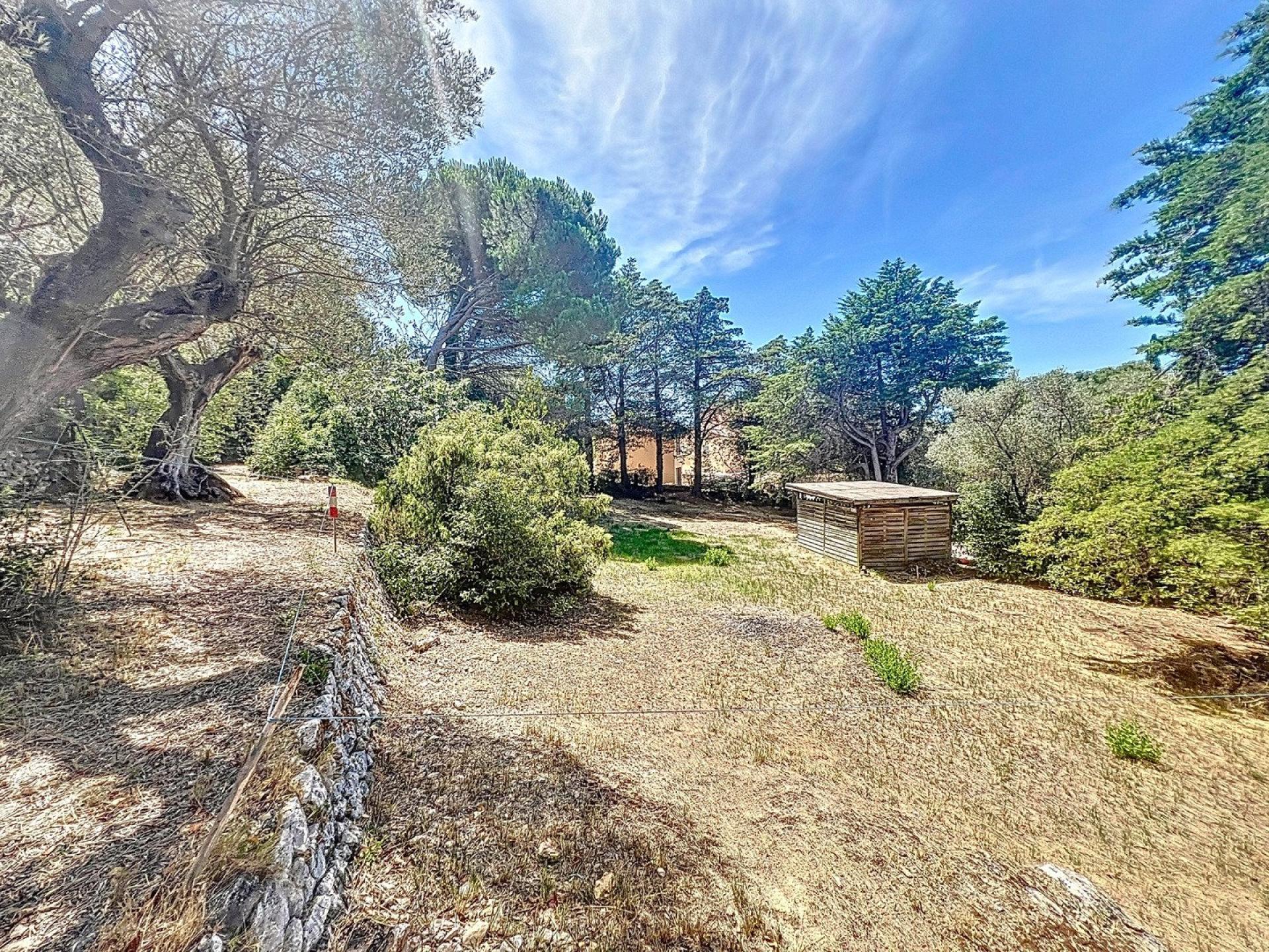 Photo 3 de l'annonce.