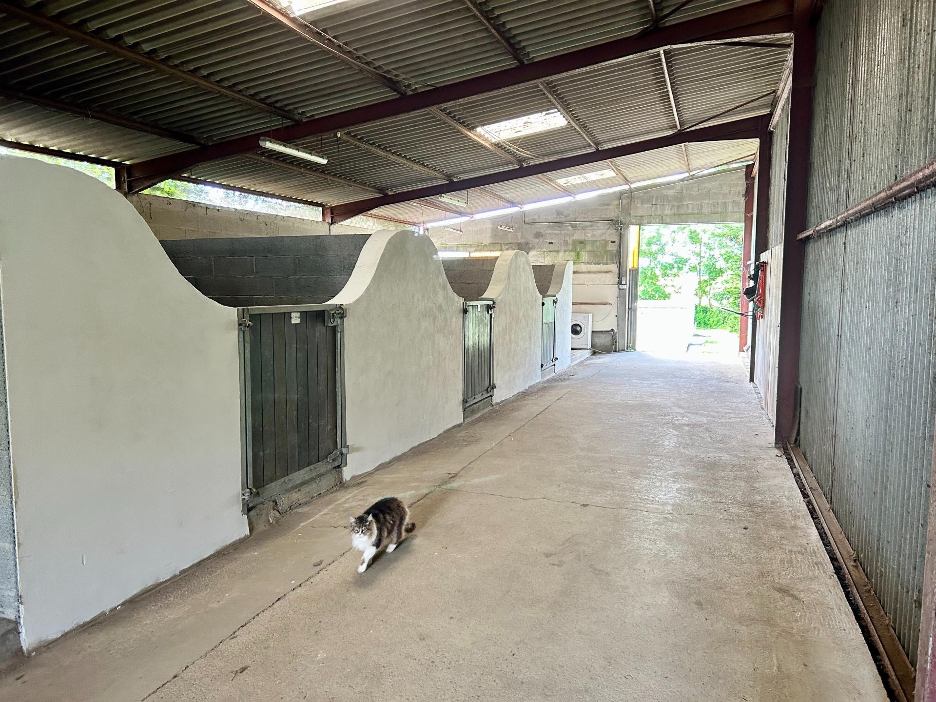 Photo 18 de l'annonce.