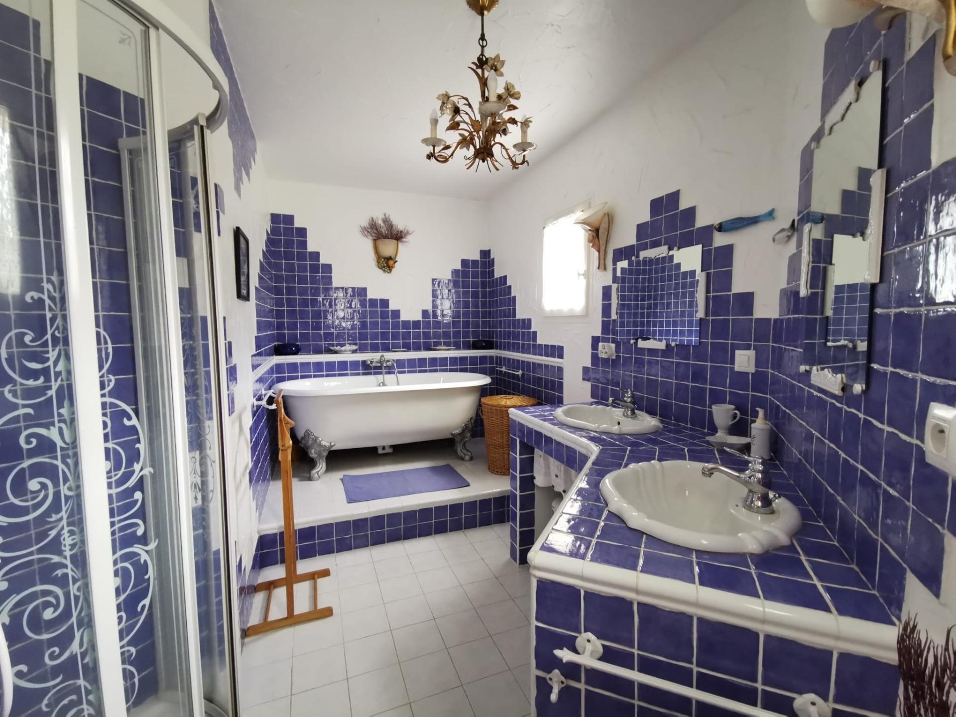 Photo 8 de l'annonce.