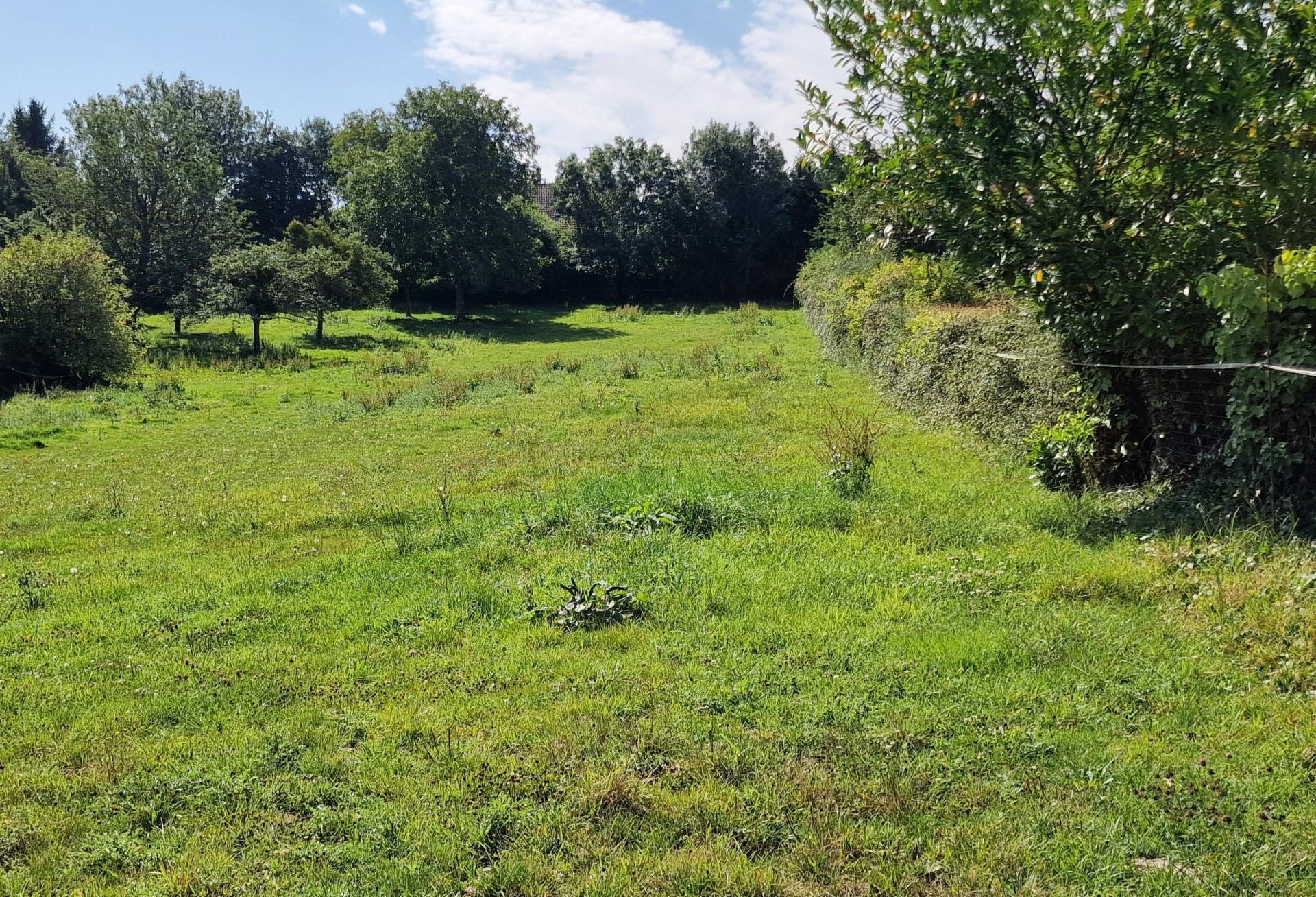 Photo 2 de l'annonce.