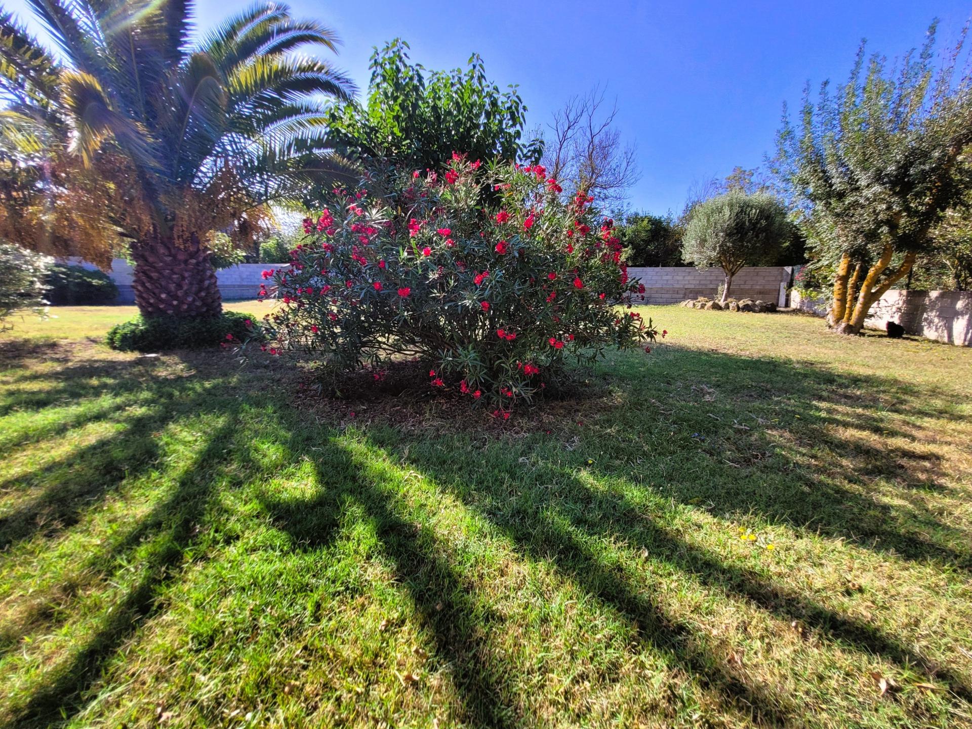 Photo 6 de l'annonce.