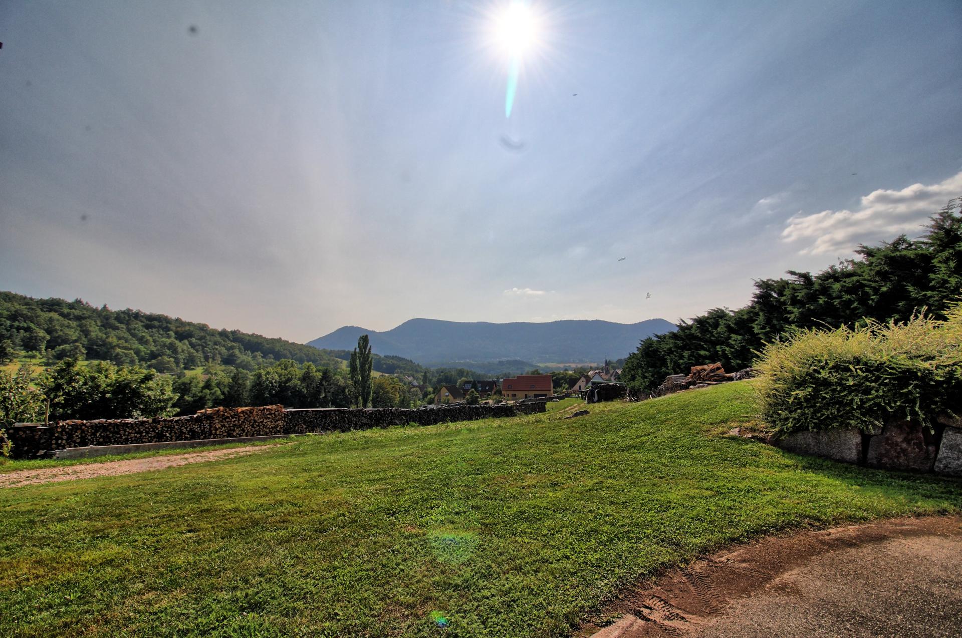 Photo 12 de l'annonce.