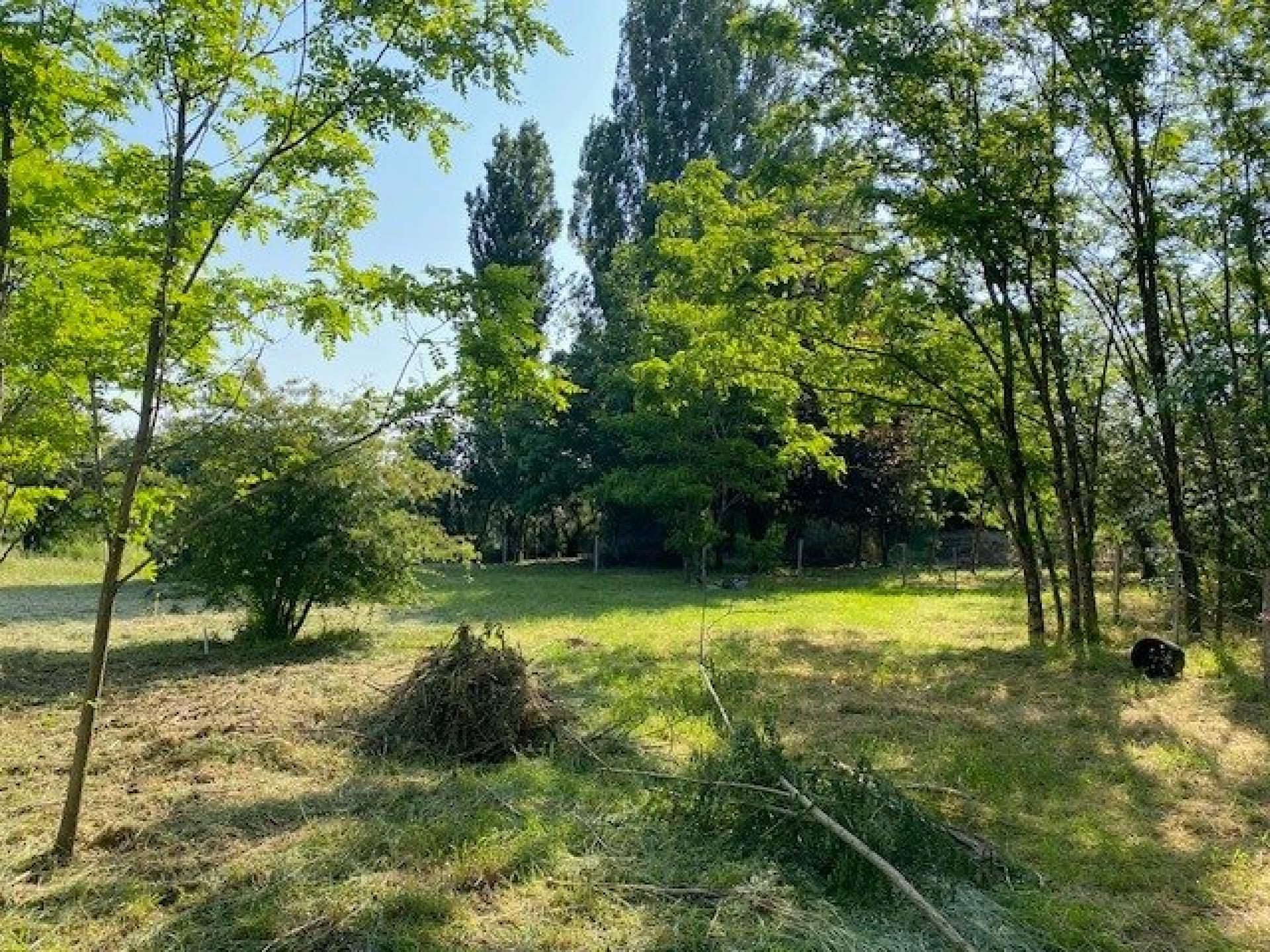 Photo 27 de l'annonce.