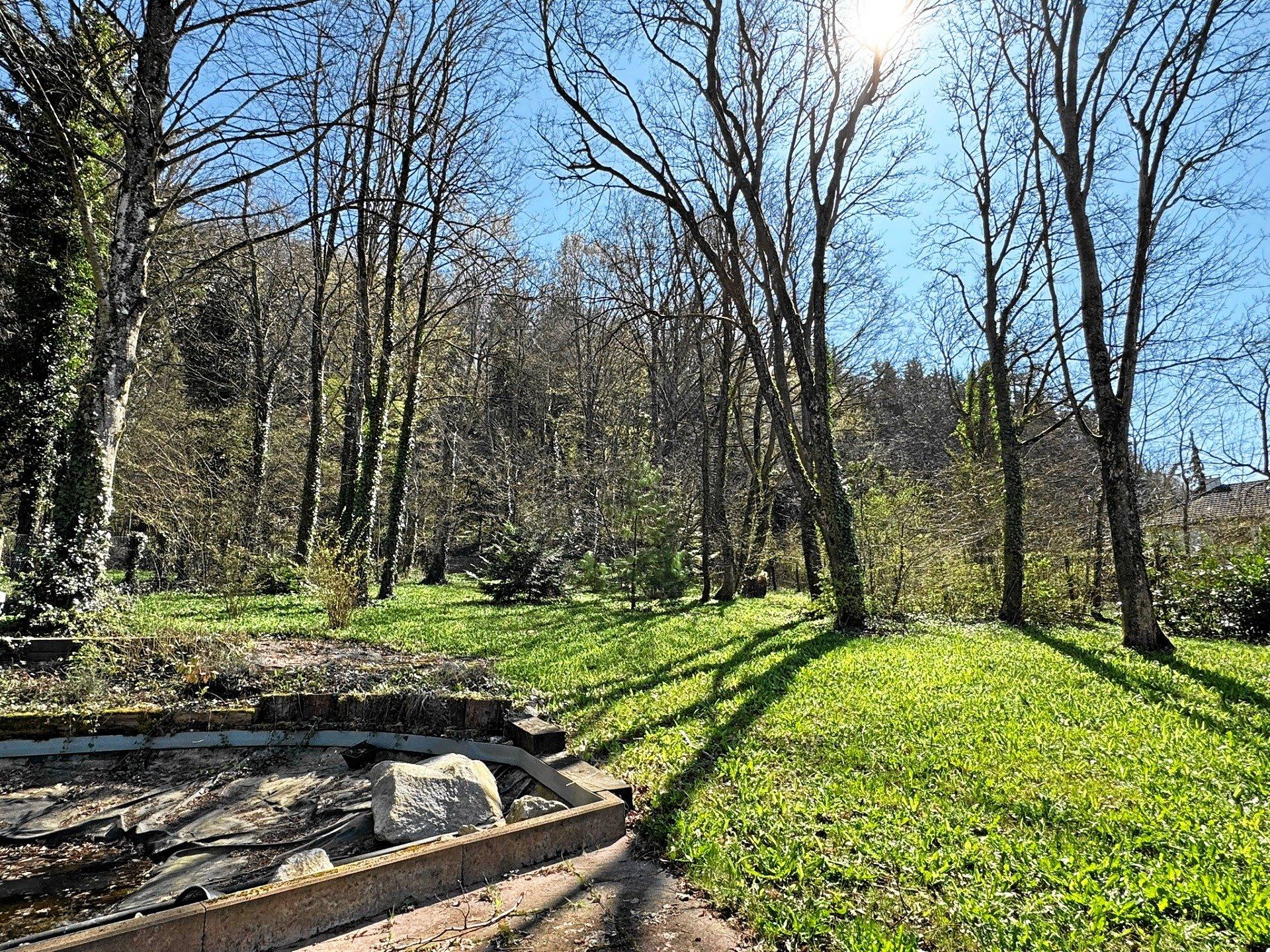 Photo 21 de l'annonce.