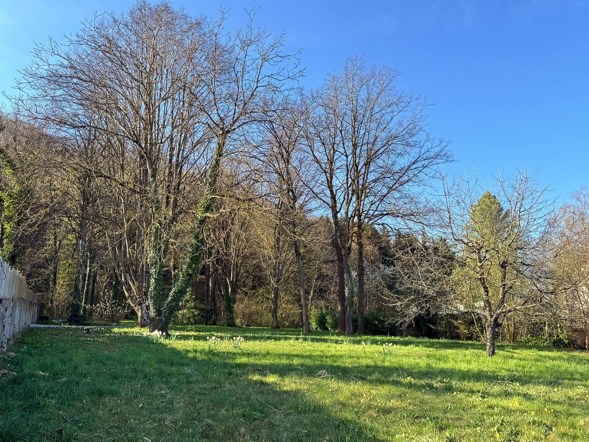 Photo 20 de l'annonce.