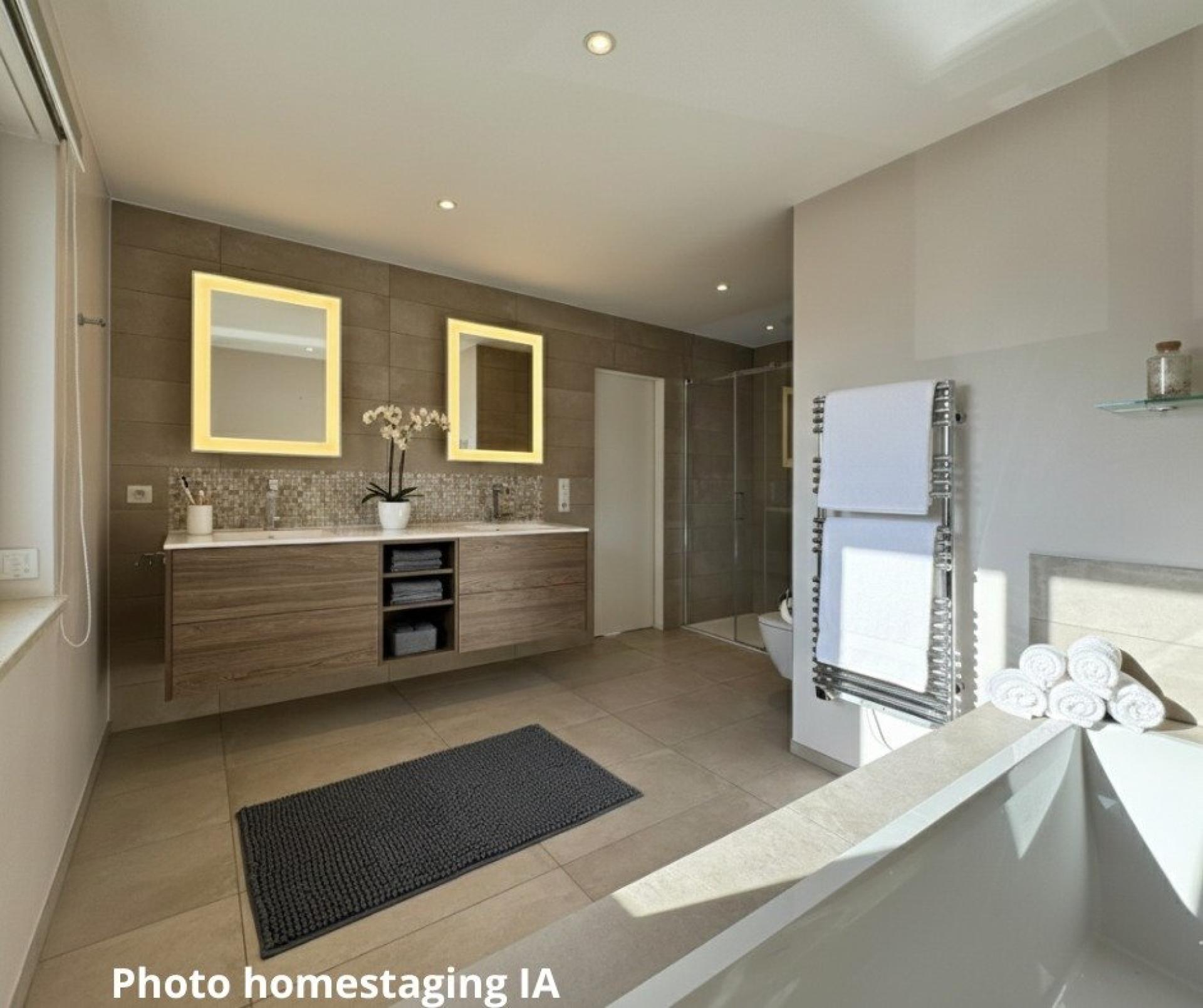 Photo 10 de l'annonce.