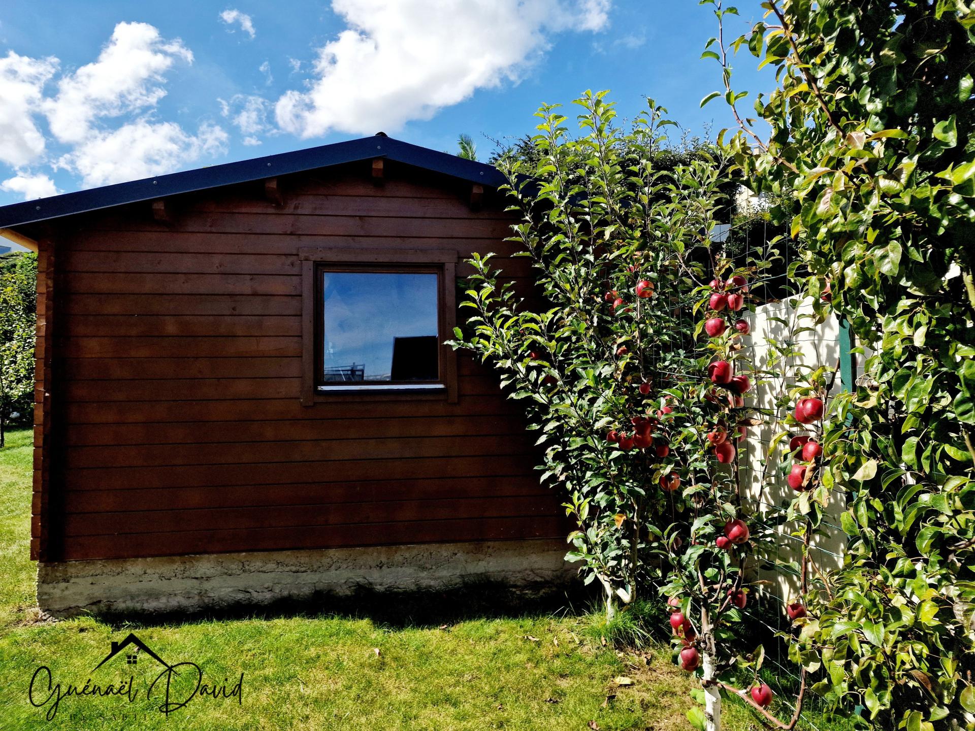 Photo 9 de l'annonce.