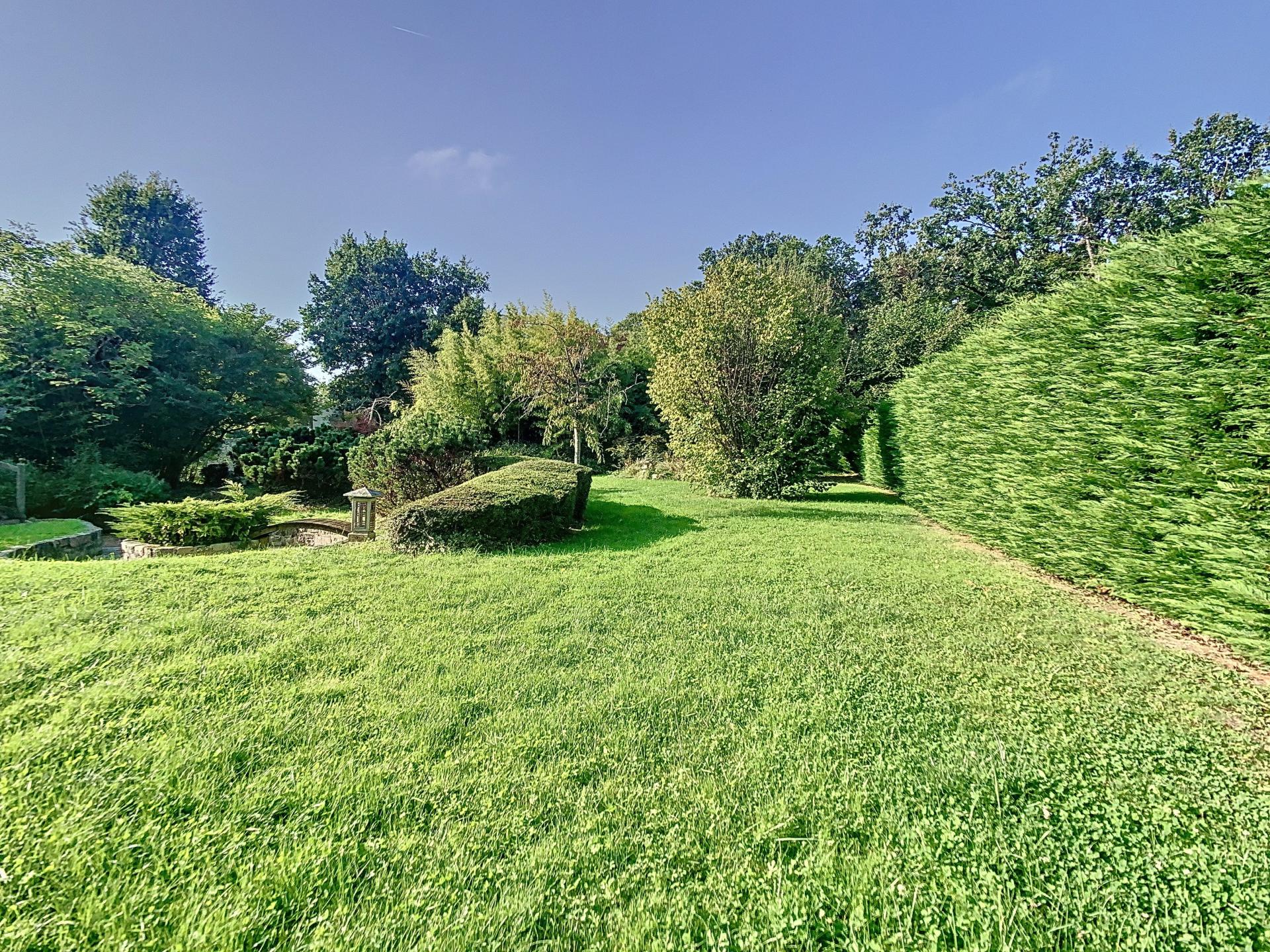 Photo-terrain