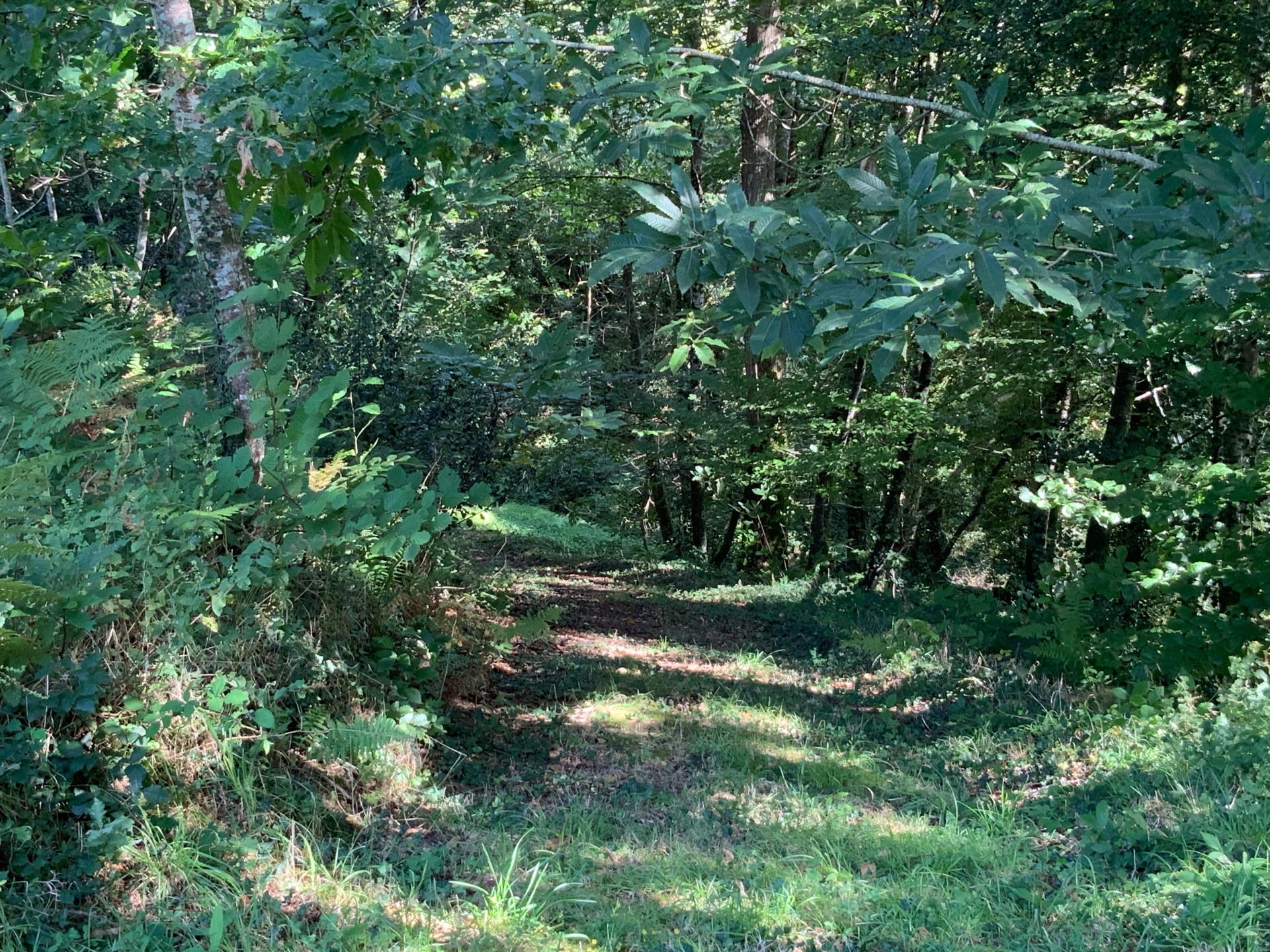 Photo 12 de l'annonce.