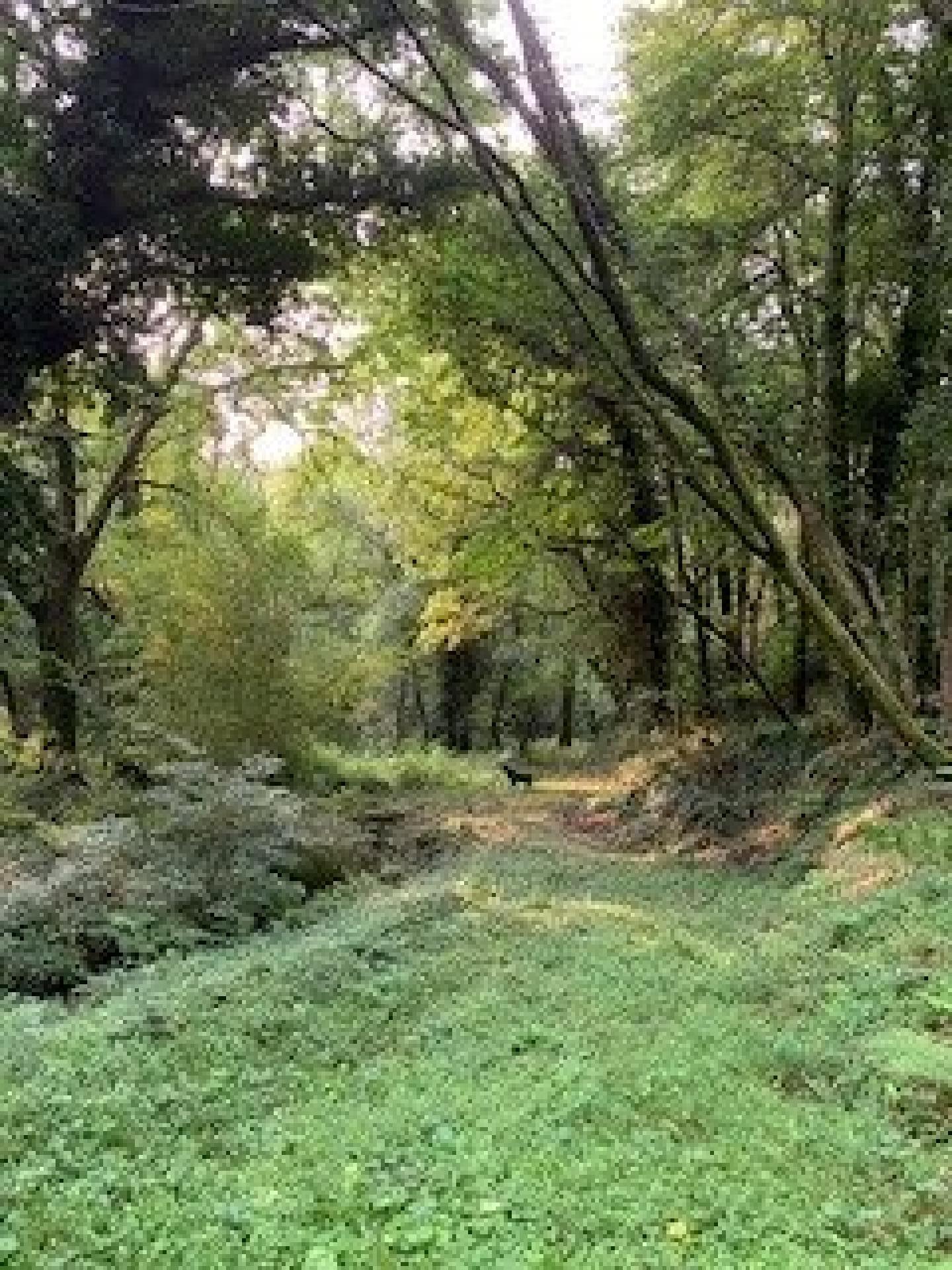 Photo 13 de l'annonce.