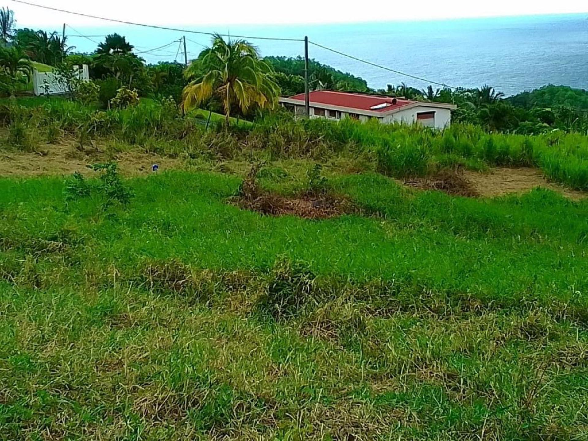 Photo 6 de l'annonce.