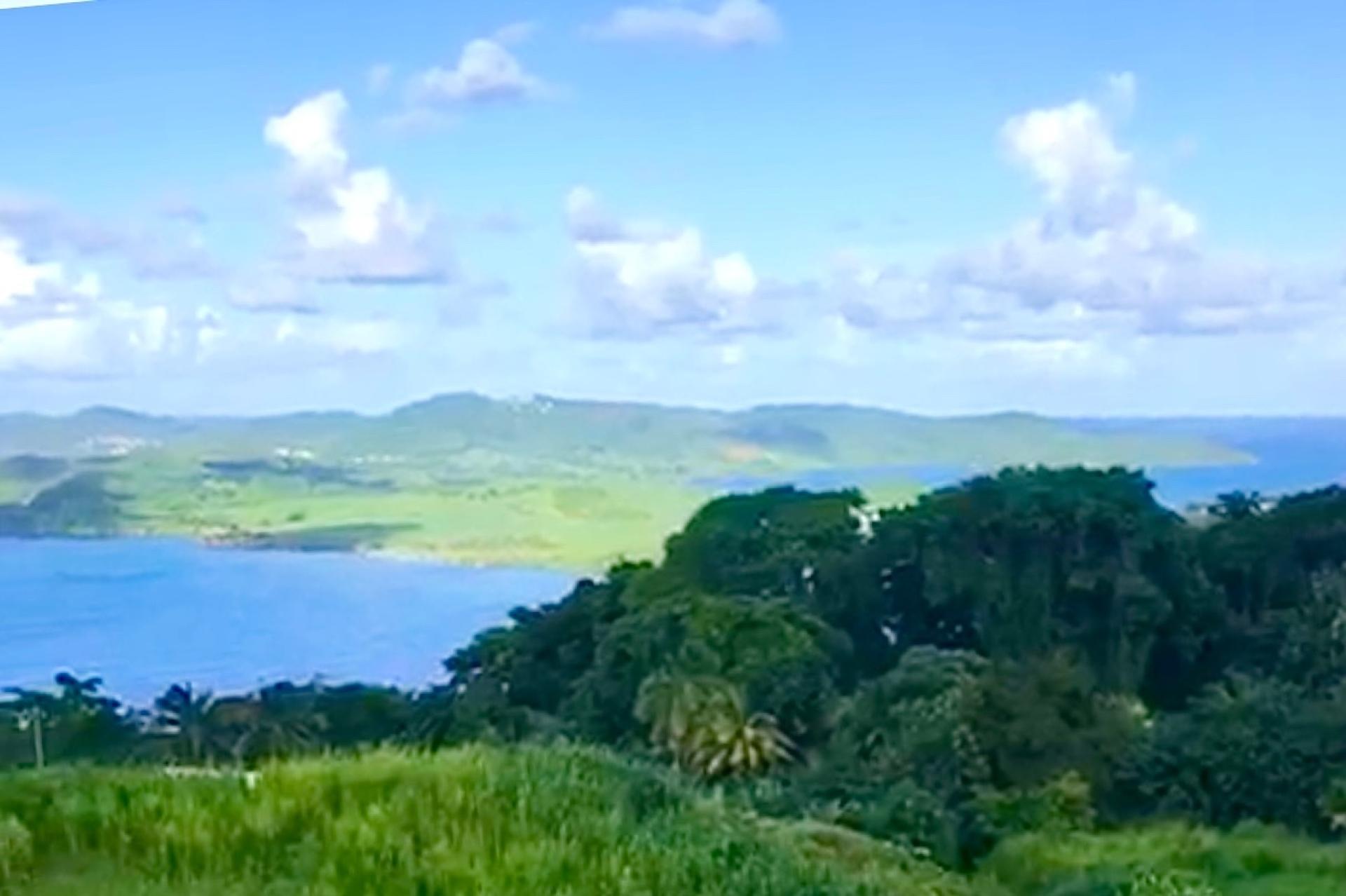 Photo 3 de l'annonce.