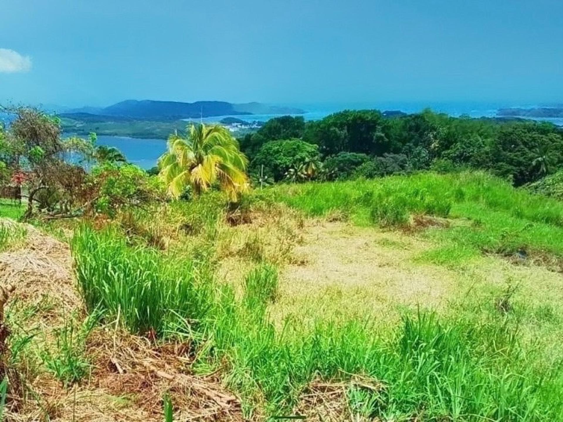 Photo 5 de l'annonce.