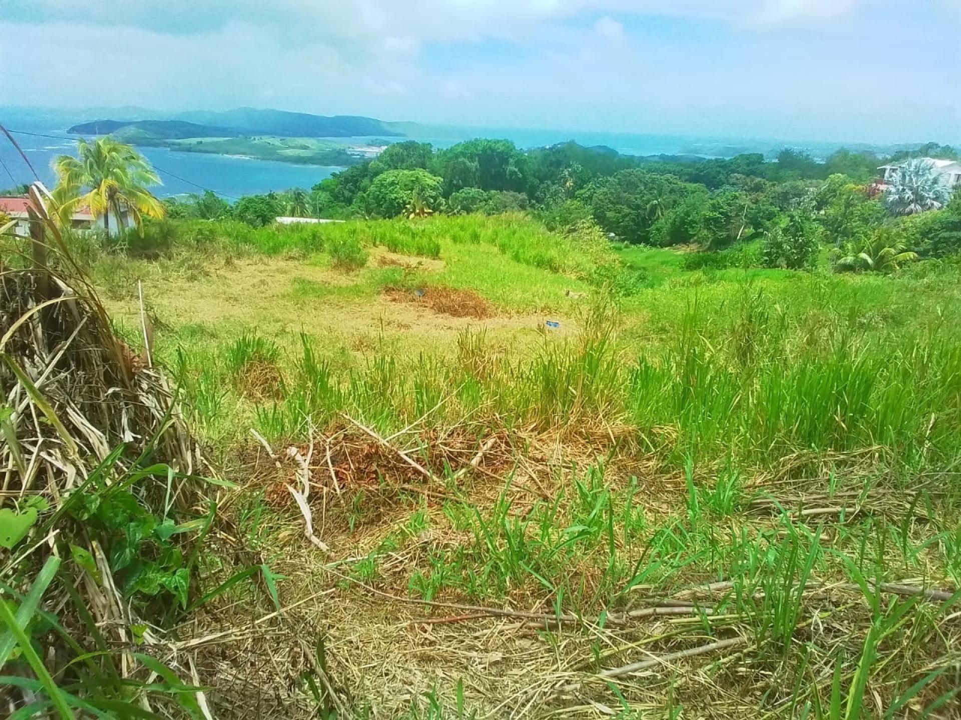 Photo 4 de l'annonce.