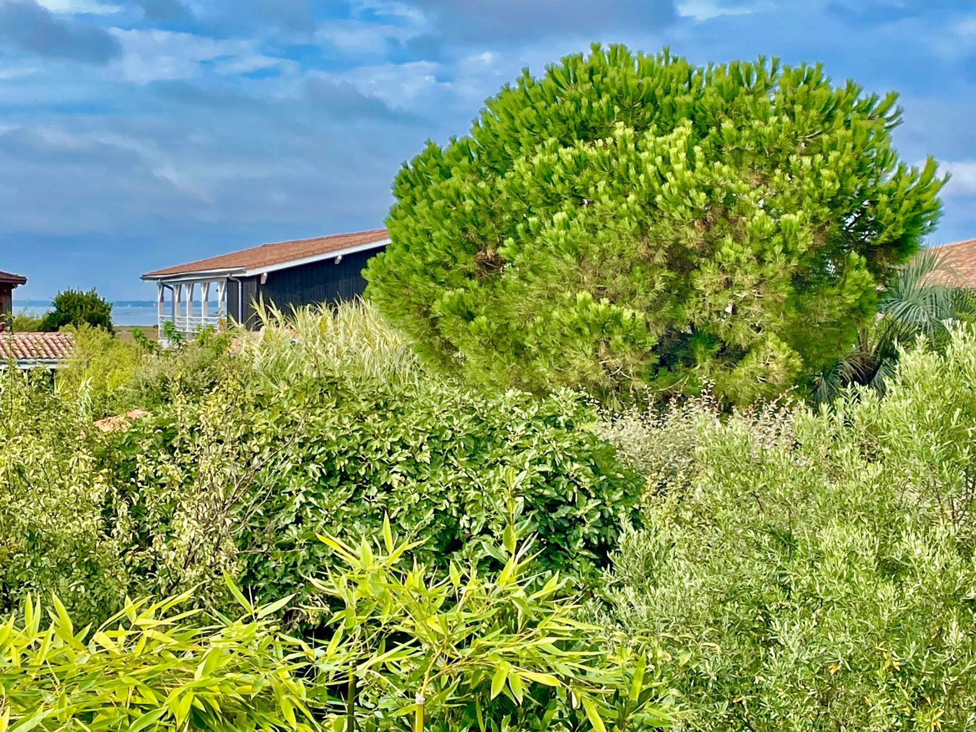 Foto 12 del anuncio.