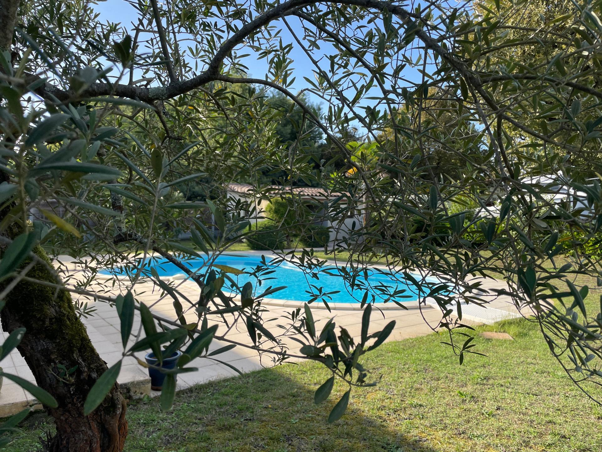 Photo 3 de l'annonce.