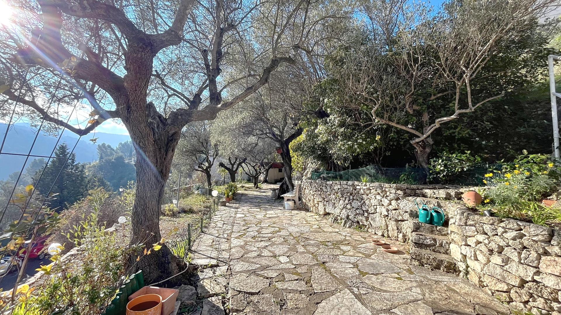 Photo 2 de l'annonce.