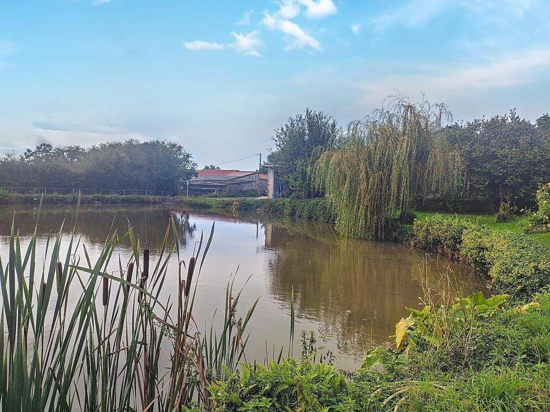 Photo 4 of the listing.