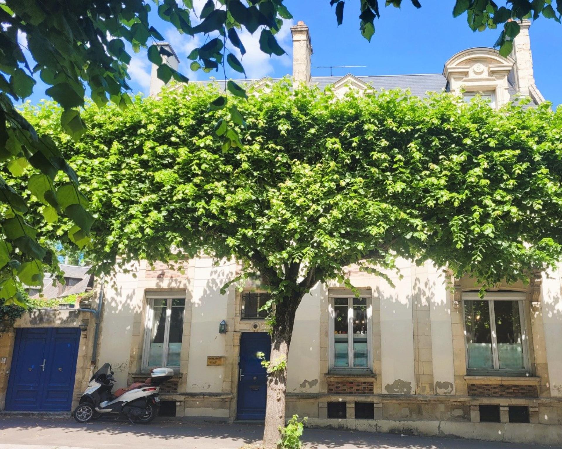 Photo 16 of the listing.