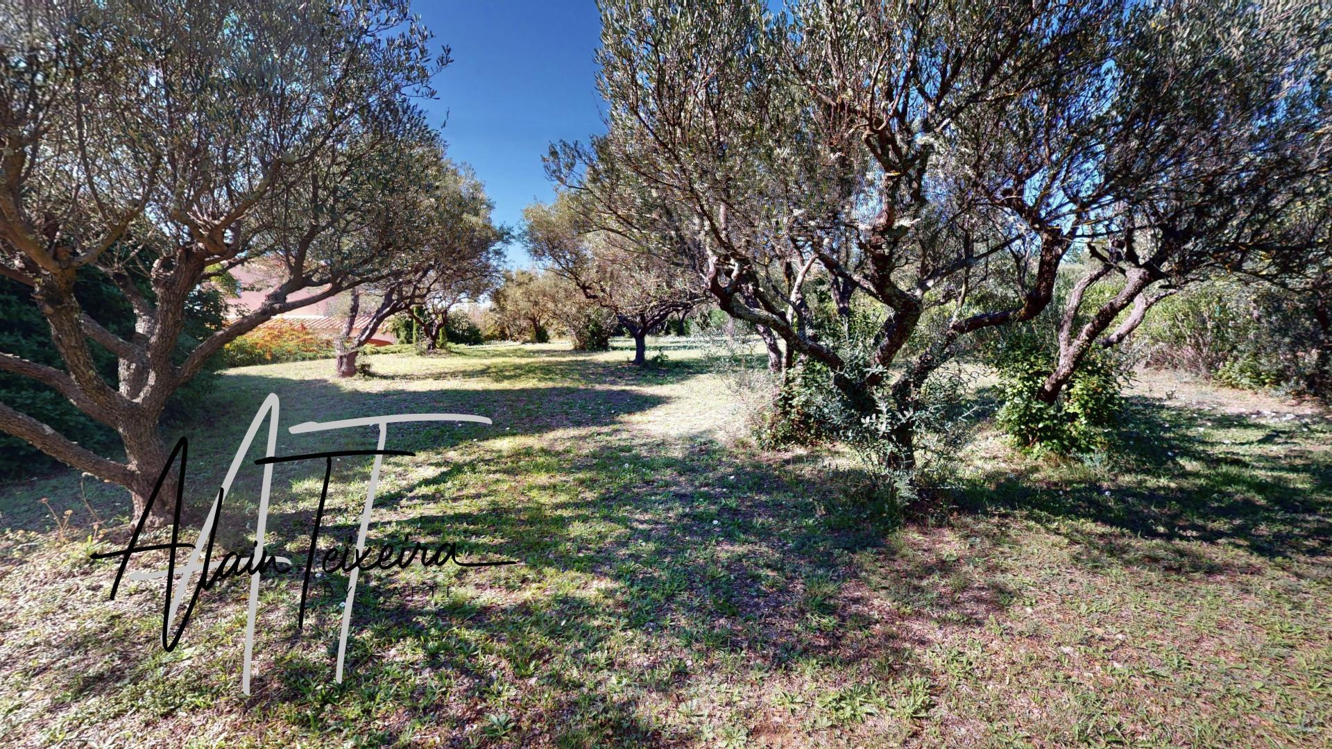 Photo 8 of the listing.