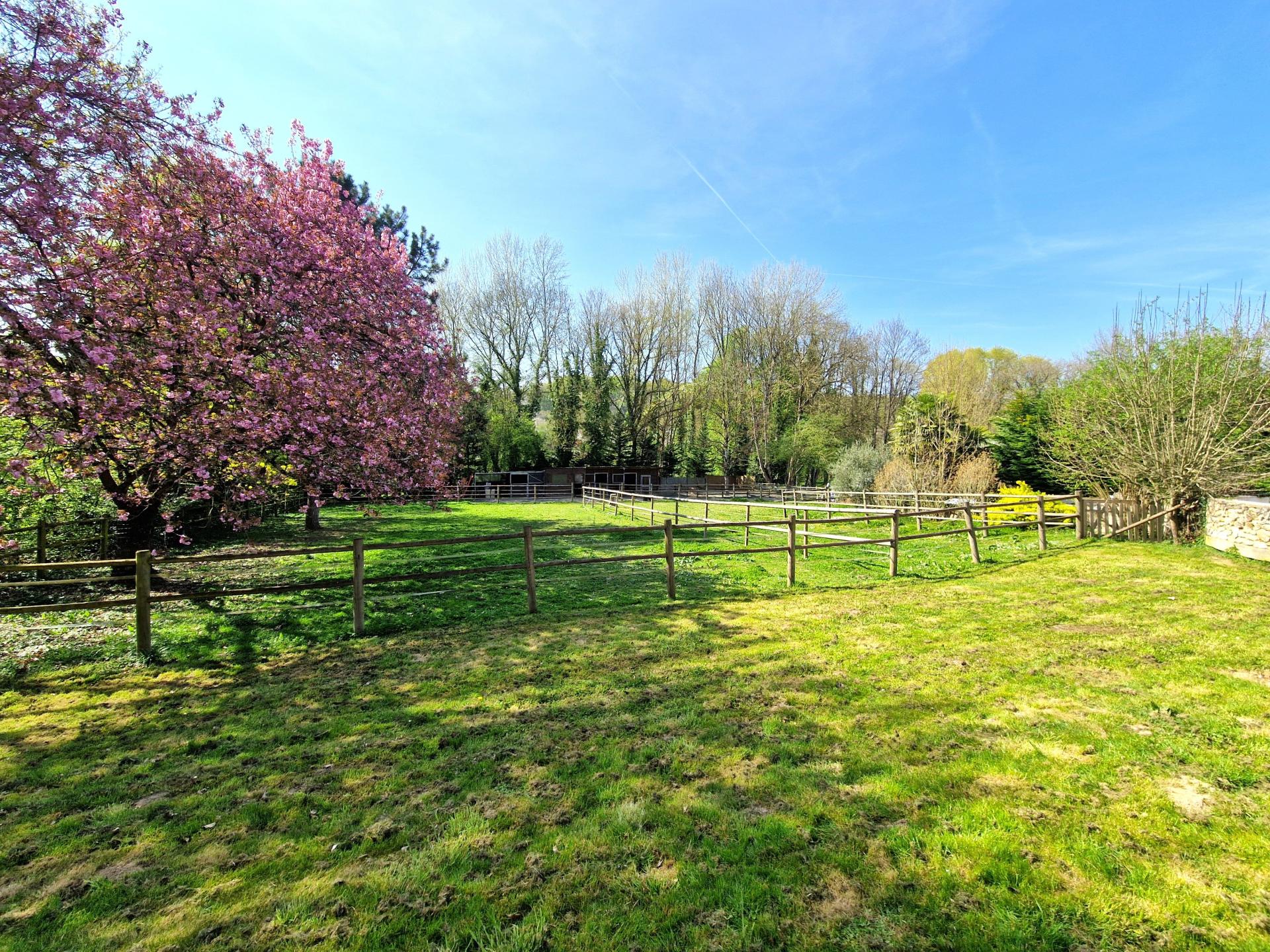 Photo 3 de l'annonce.