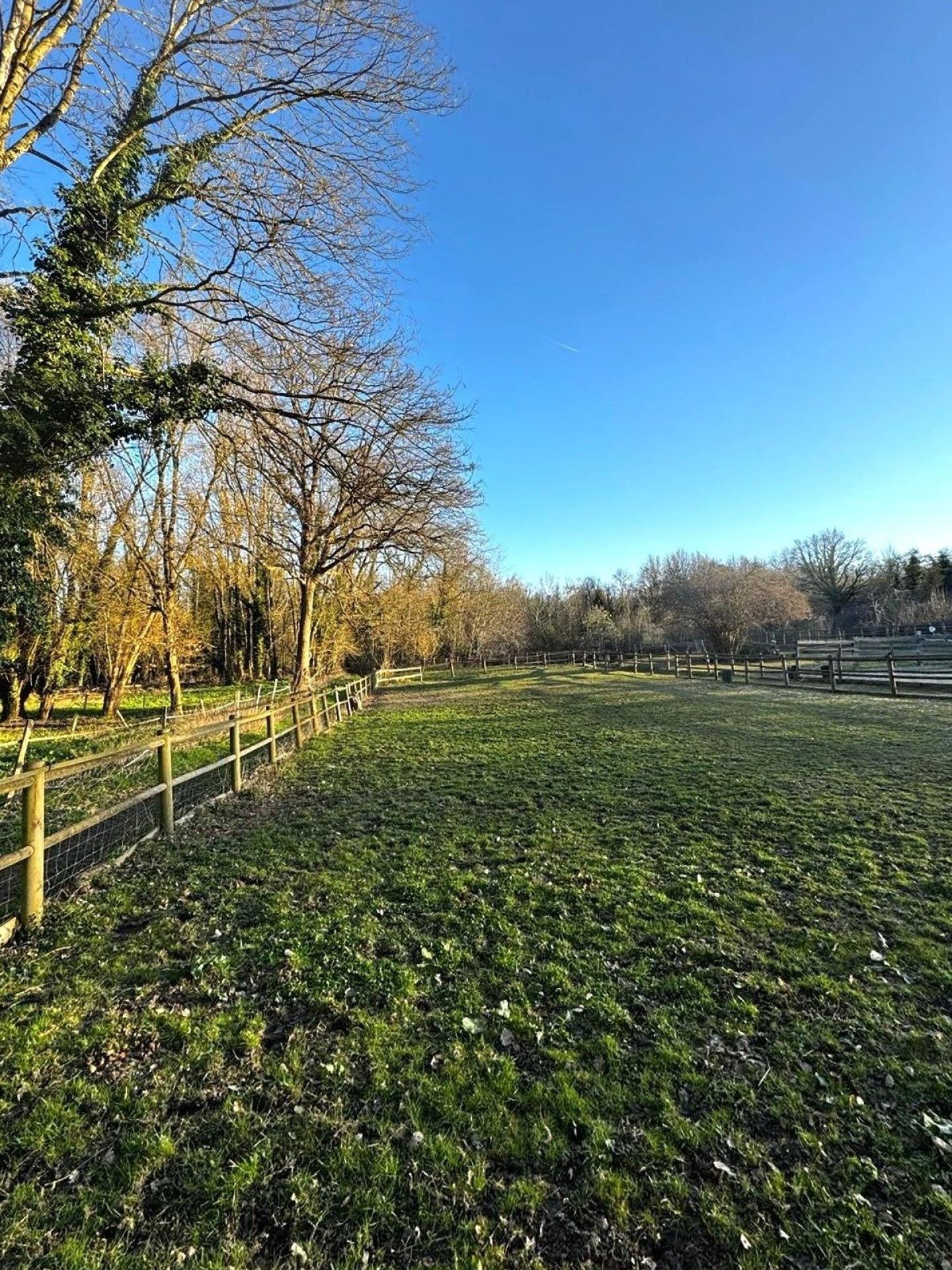 Photo 5 de l'annonce.