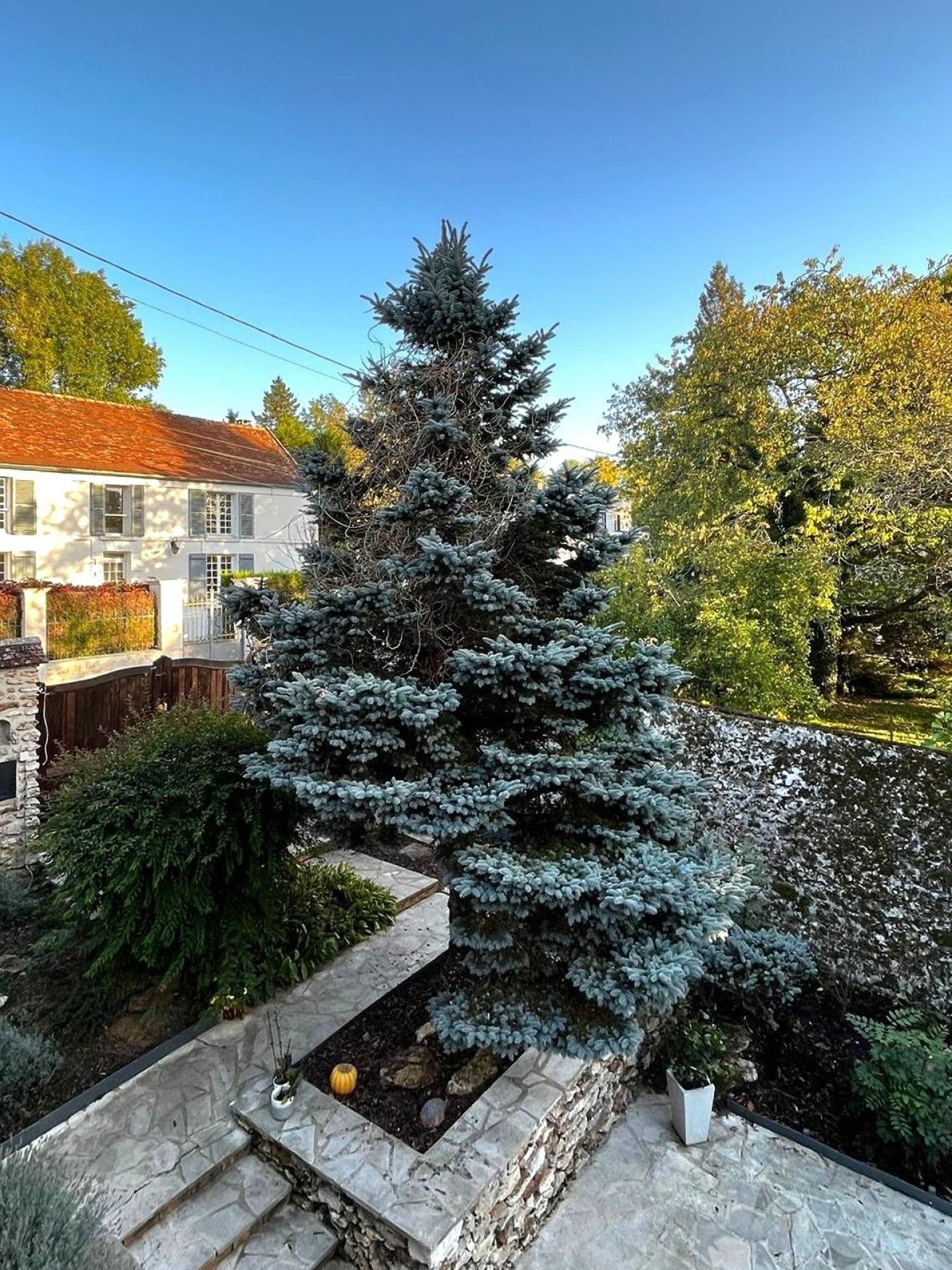 Photo 2 de l'annonce.