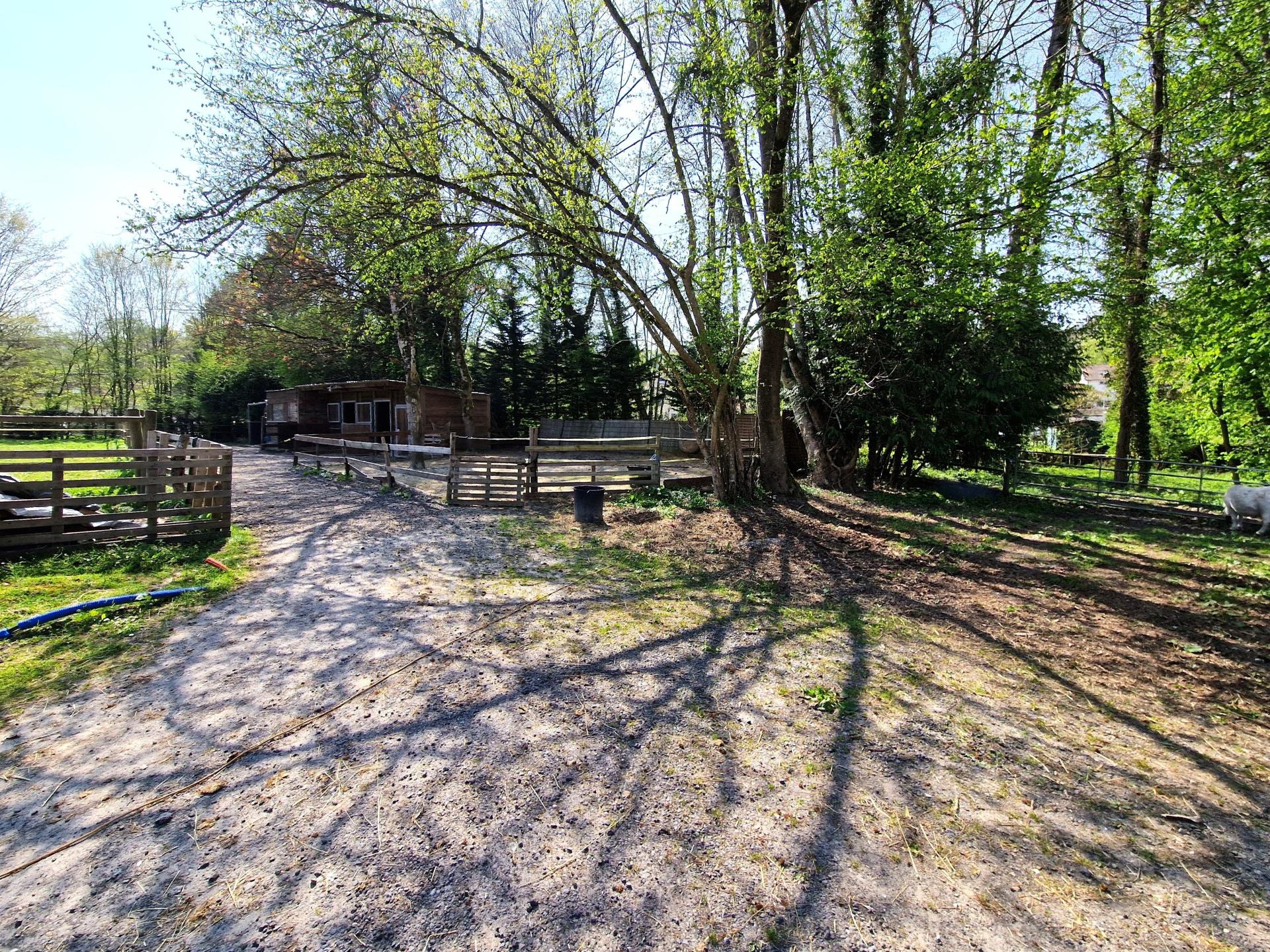 Photo 8 de l'annonce.