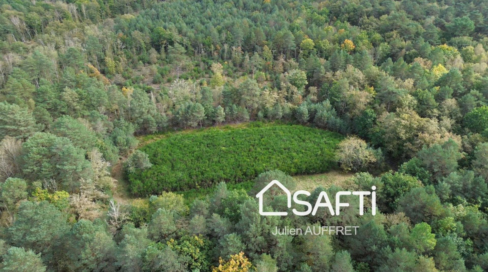 Photo 14 of the listing.