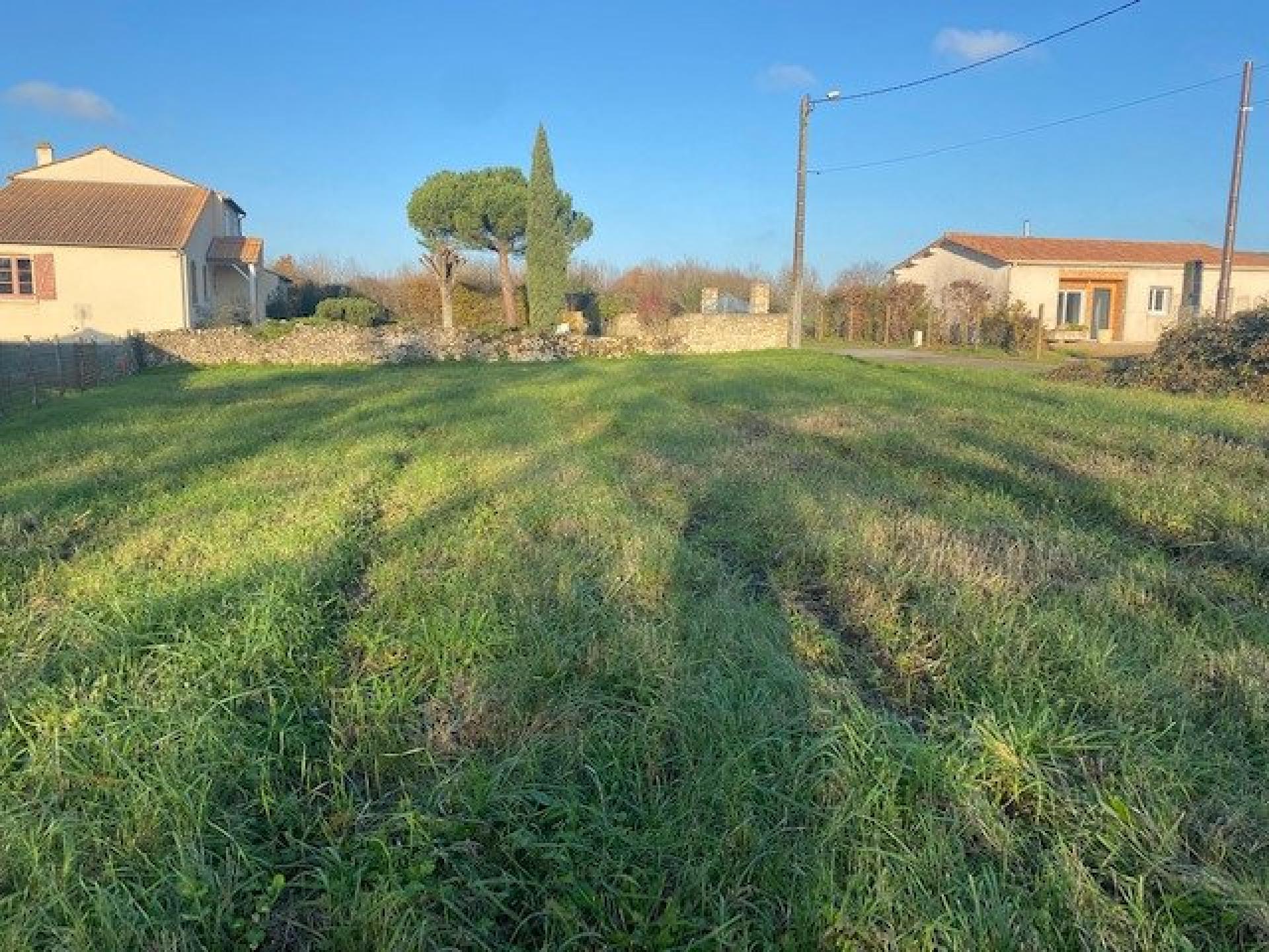 Photo-terrain