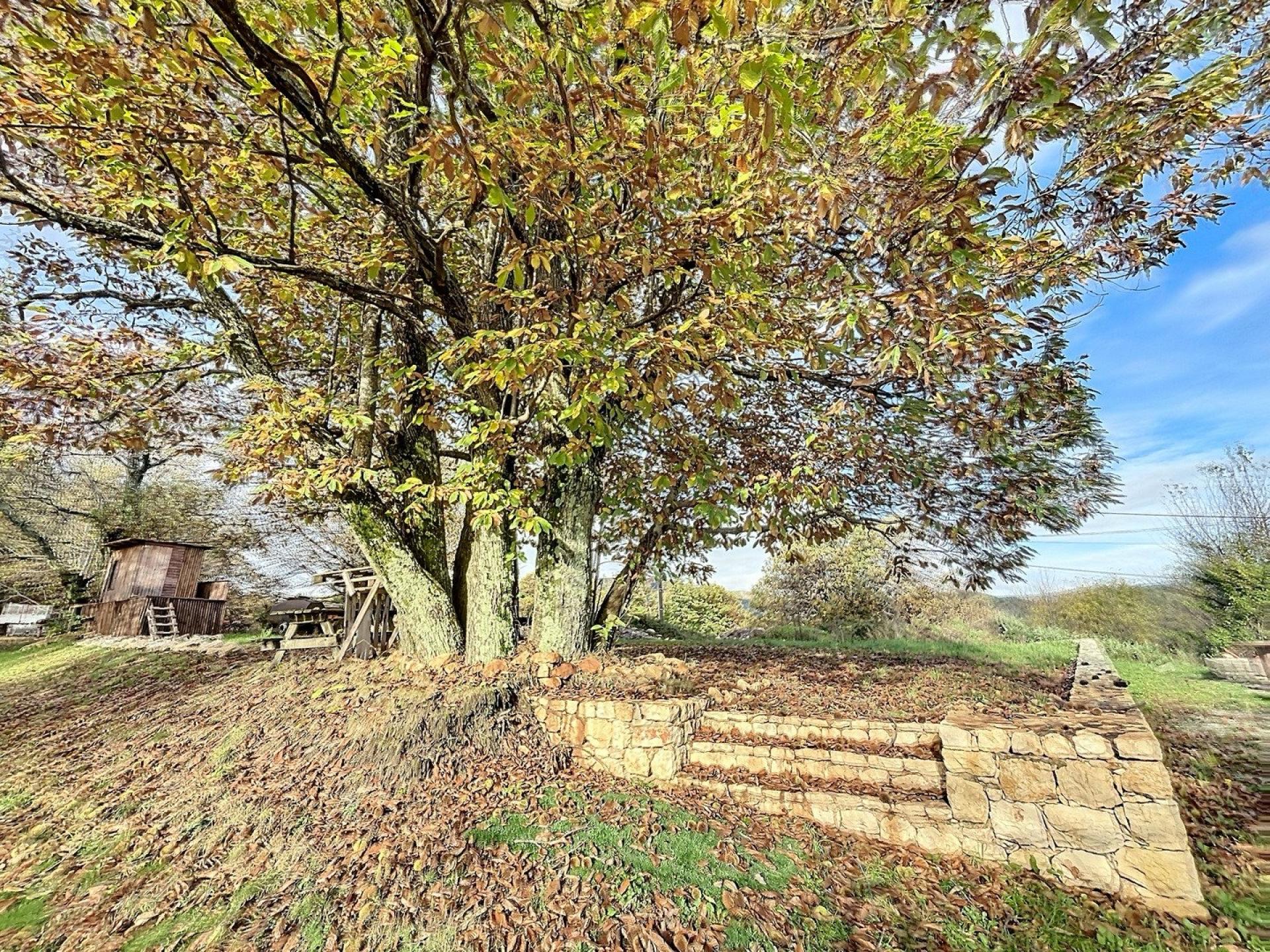 Photo 15 de l'annonce.