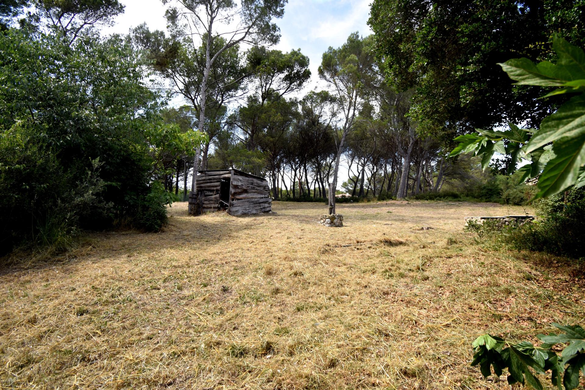 Photo 10 de l'annonce.