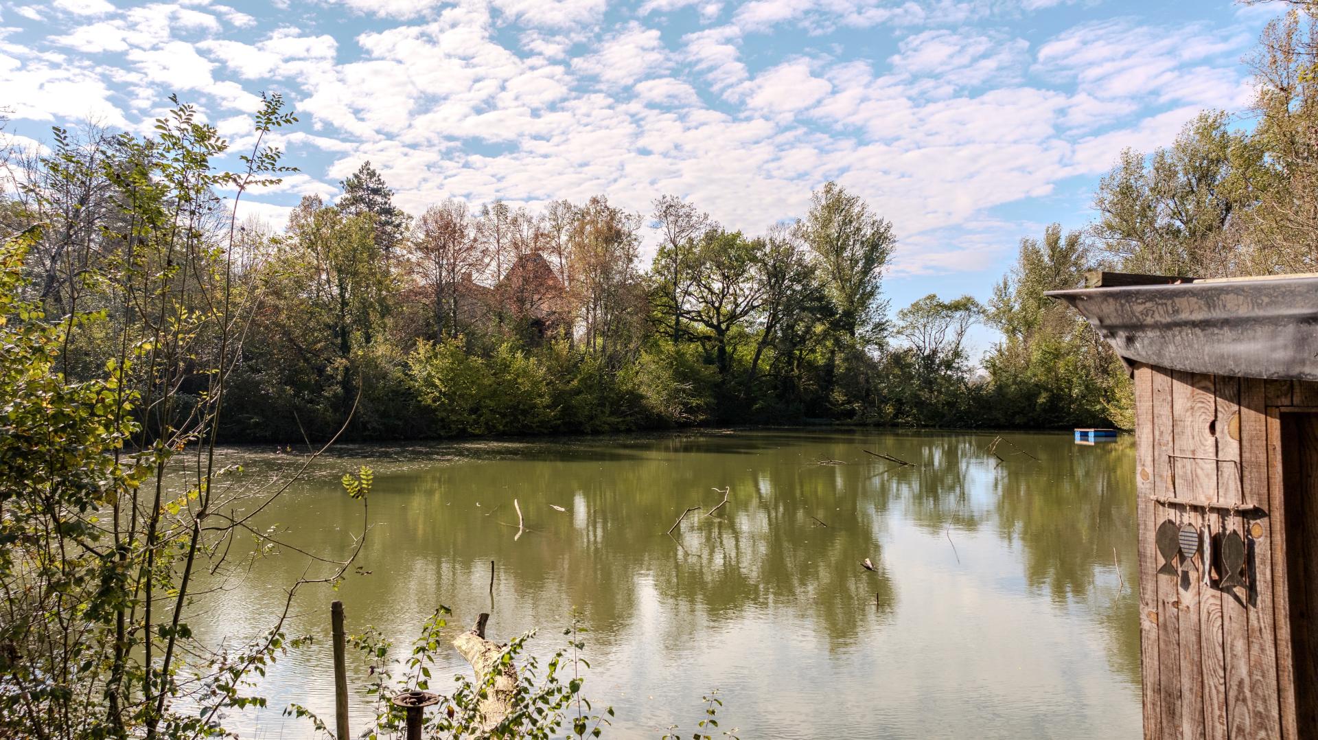 Photo 16 de l'annonce.