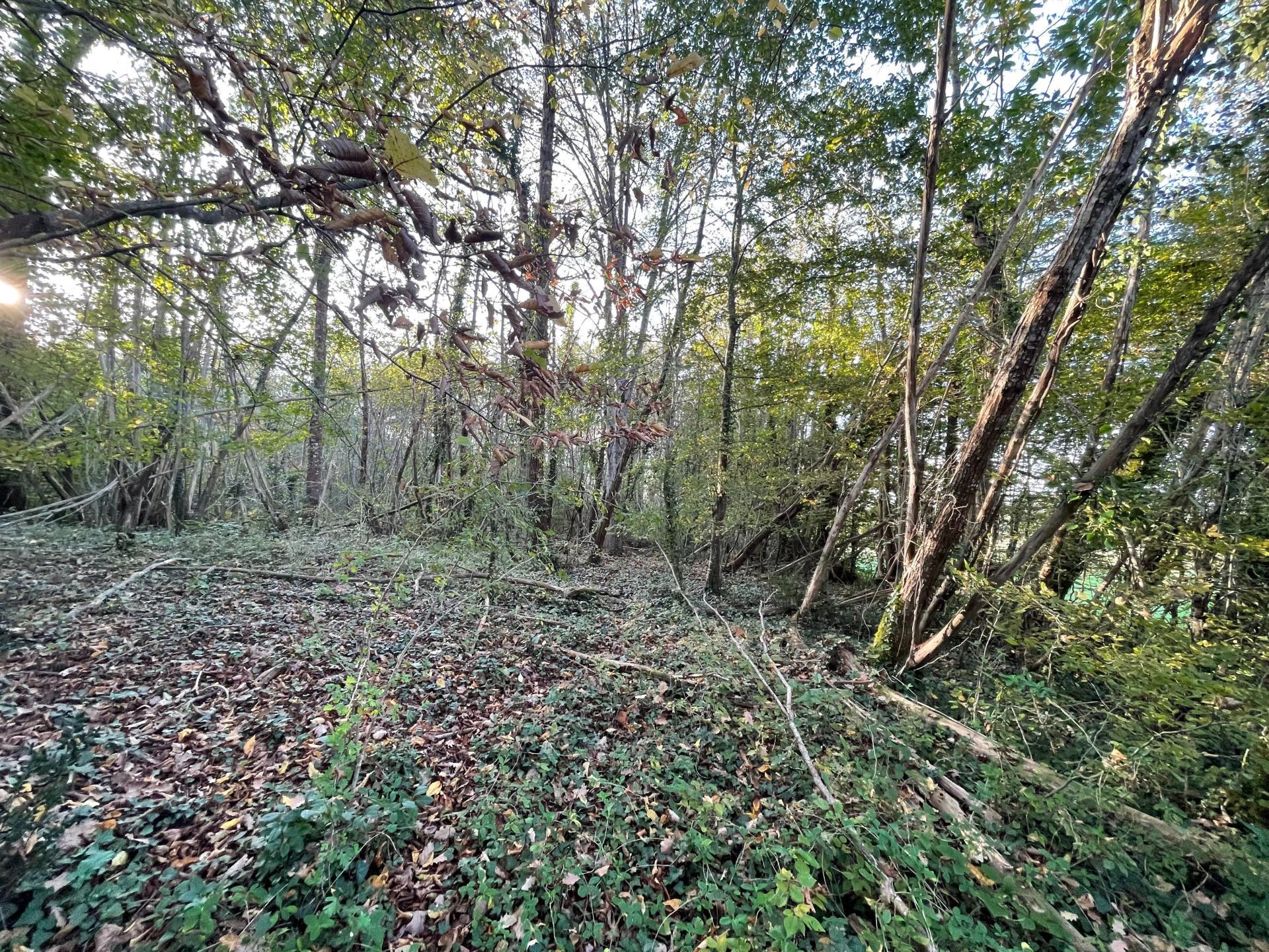 Photo-terrain