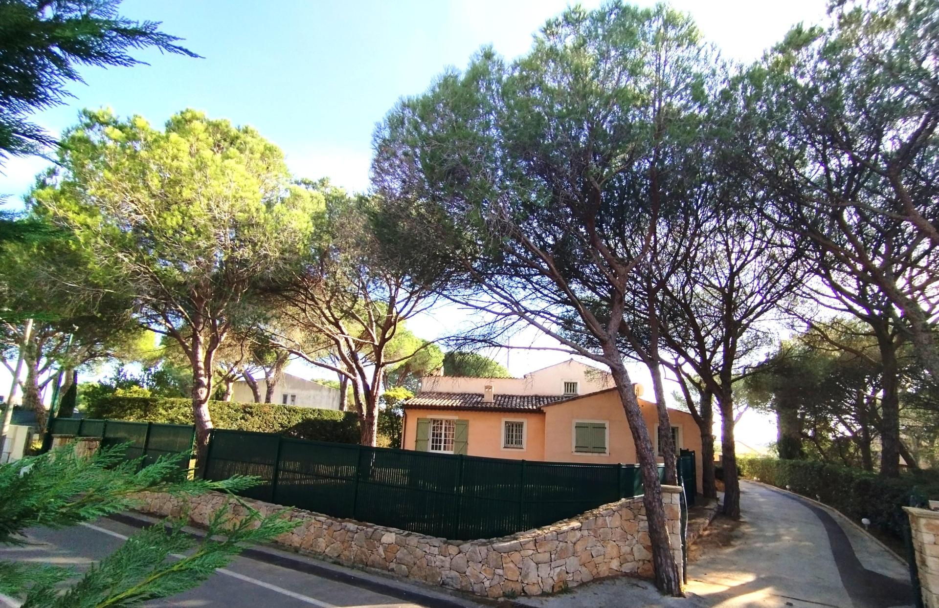 Photo 11 of the listing.