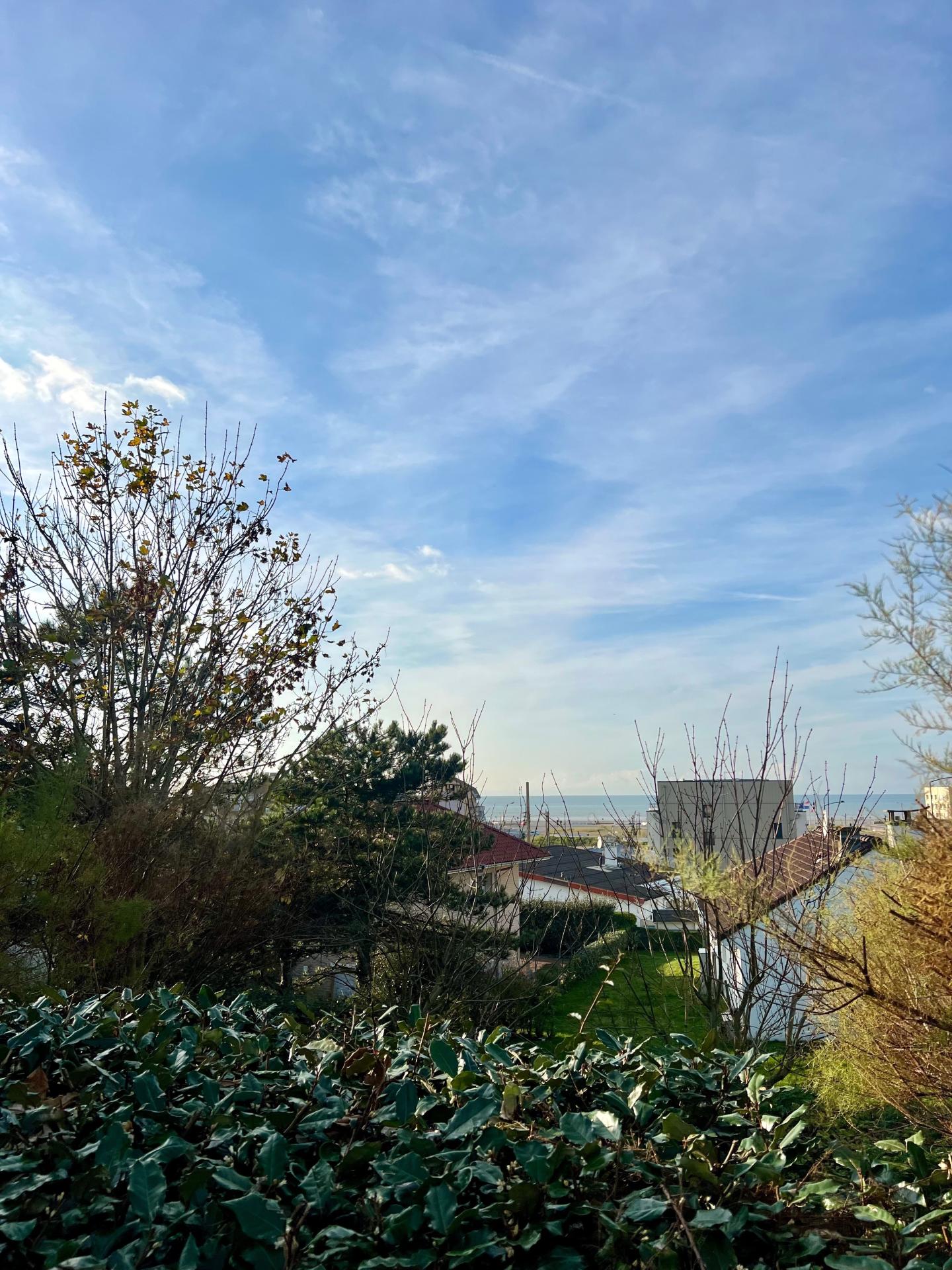 Photo 11 de l'annonce.