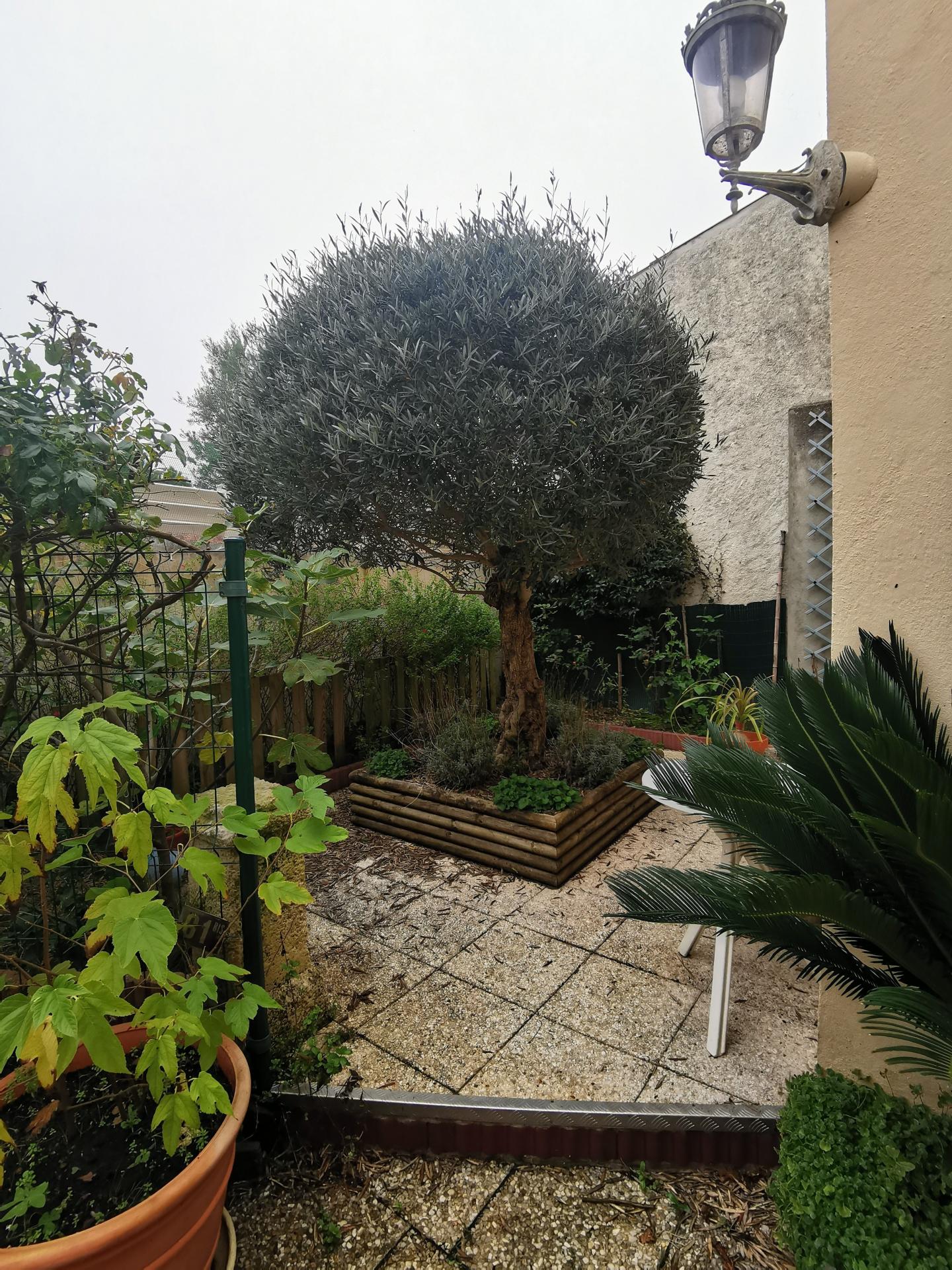 Photo 3 de l'annonce.