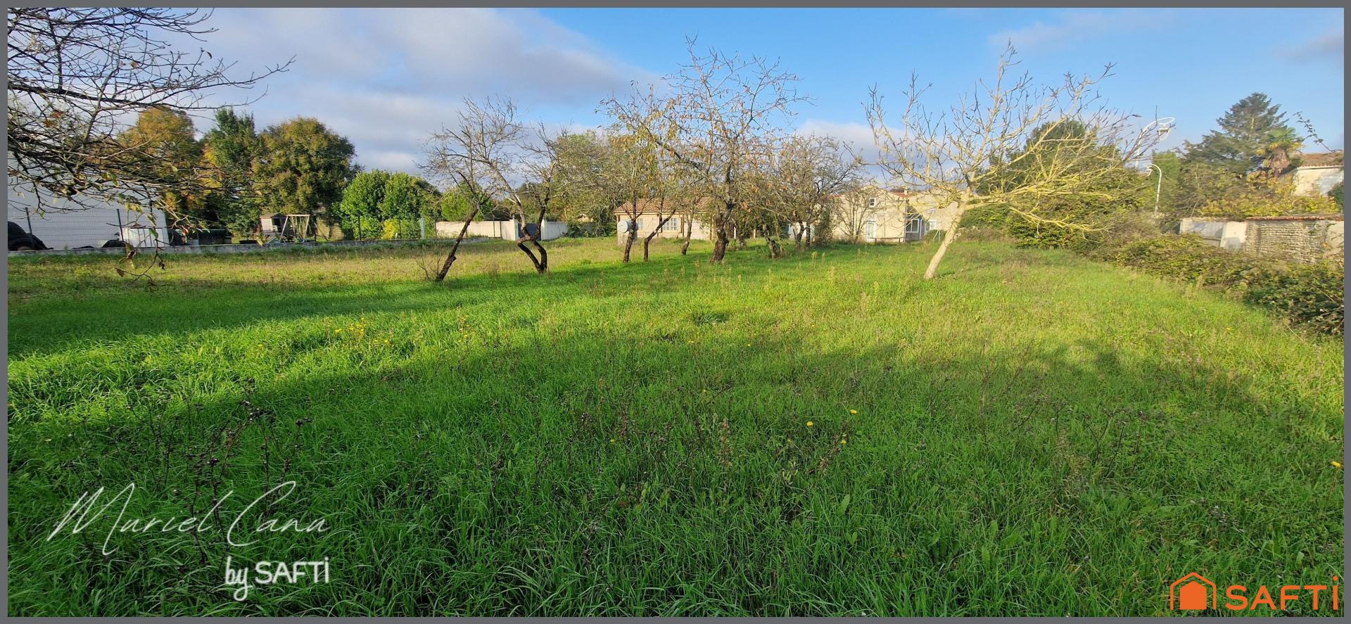 Photo-terrain